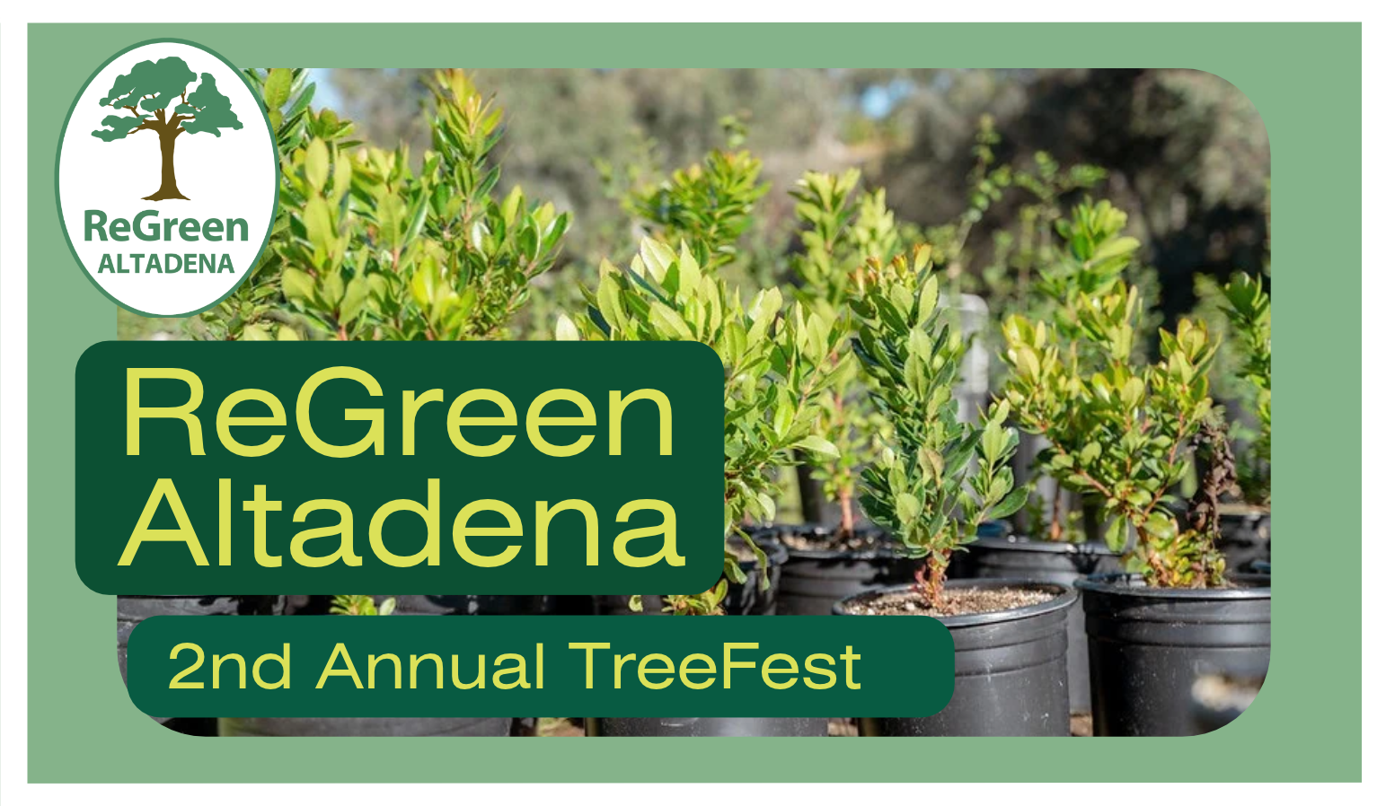 Second Annual TreeFest