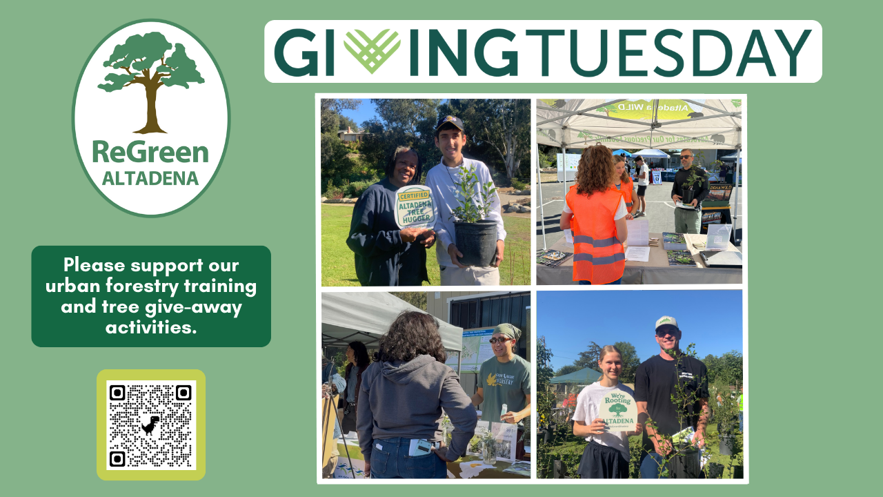 Support ReGreen Altadena