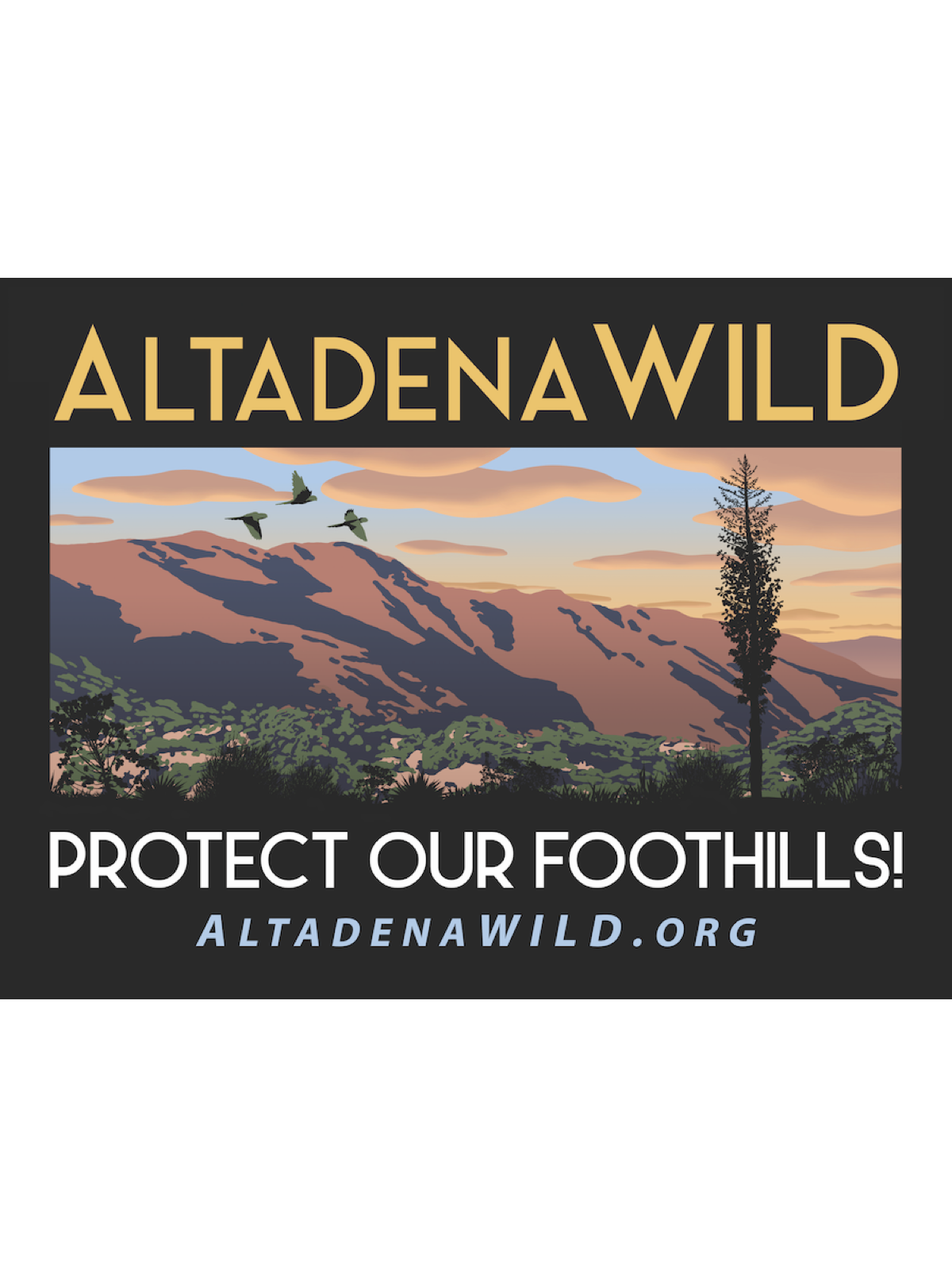 Store 2 — AltadenaWild