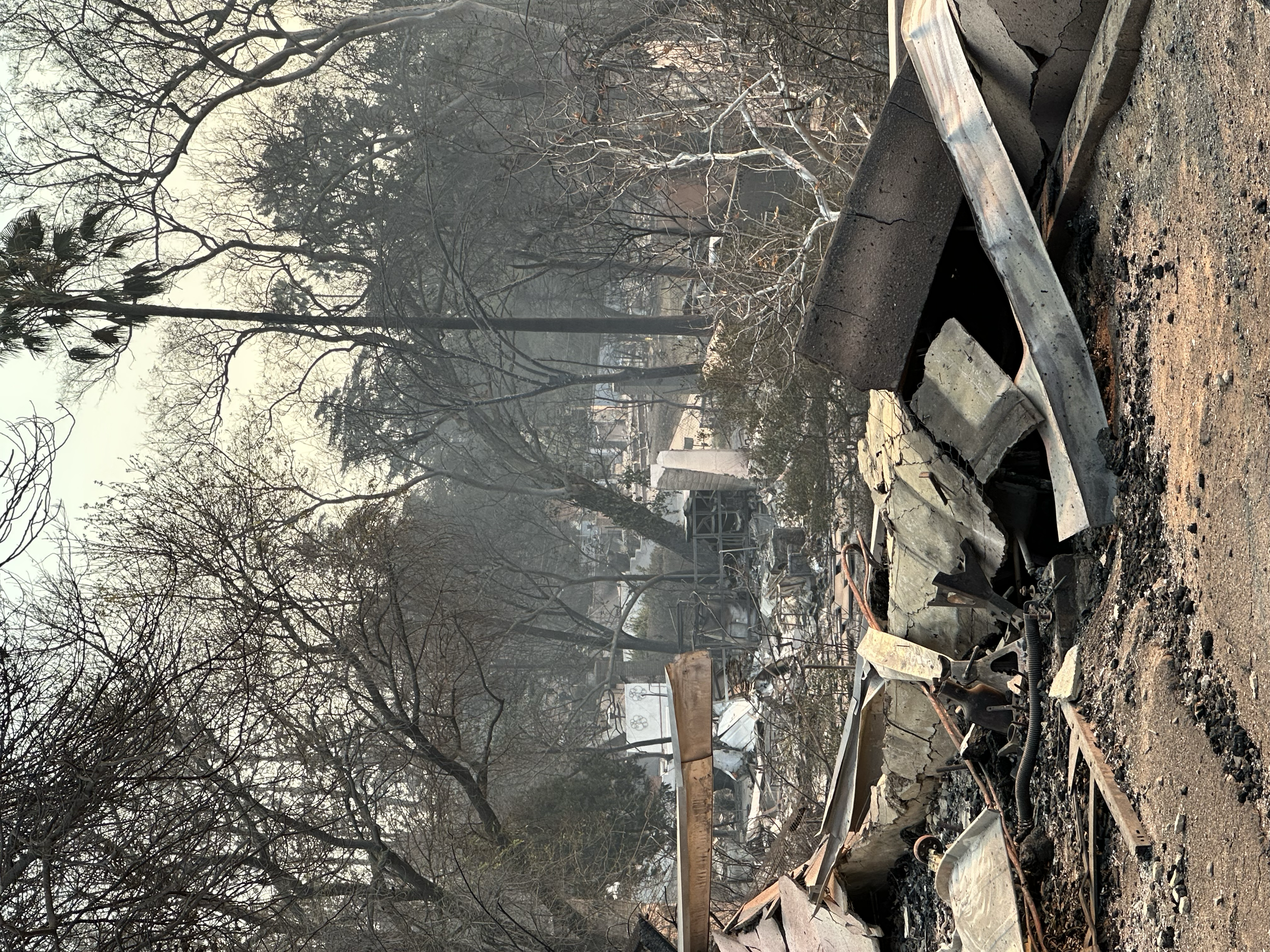 Altadena’s “urban forest” protected some homes from burning, but almost half of the thousands of trees were destroyed by fire. Part of Altadena’s identity comes from love of nature and trees, adding more injury to the loss. Trees cool the environmen