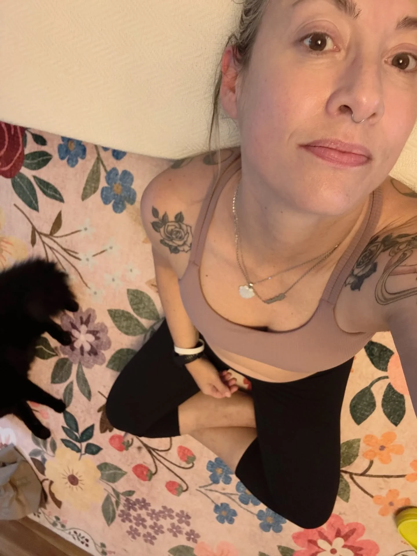 two tired kitties
one of us wrote 4K words on Zeus
one of us took many naps

#author #blackcat #zeus #tiredwriter #zzzzz