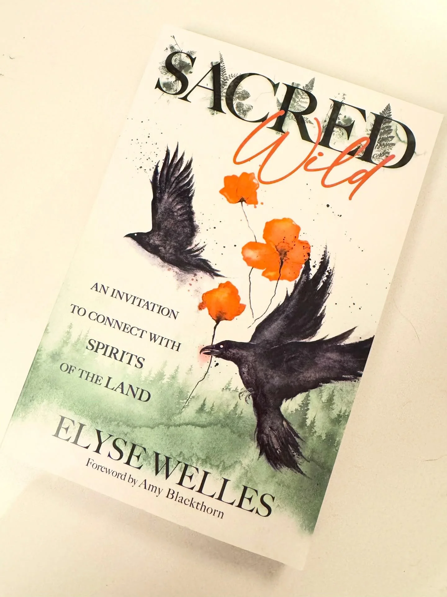 One of the coolest things about getting to read and endorse books is seeing them in real life.

Congrats to @seekingnumina and @fivefoldlaw on their @llewellynbooks publications.

I highly recommend adding these to your witchy libraries!

#llewellynb
