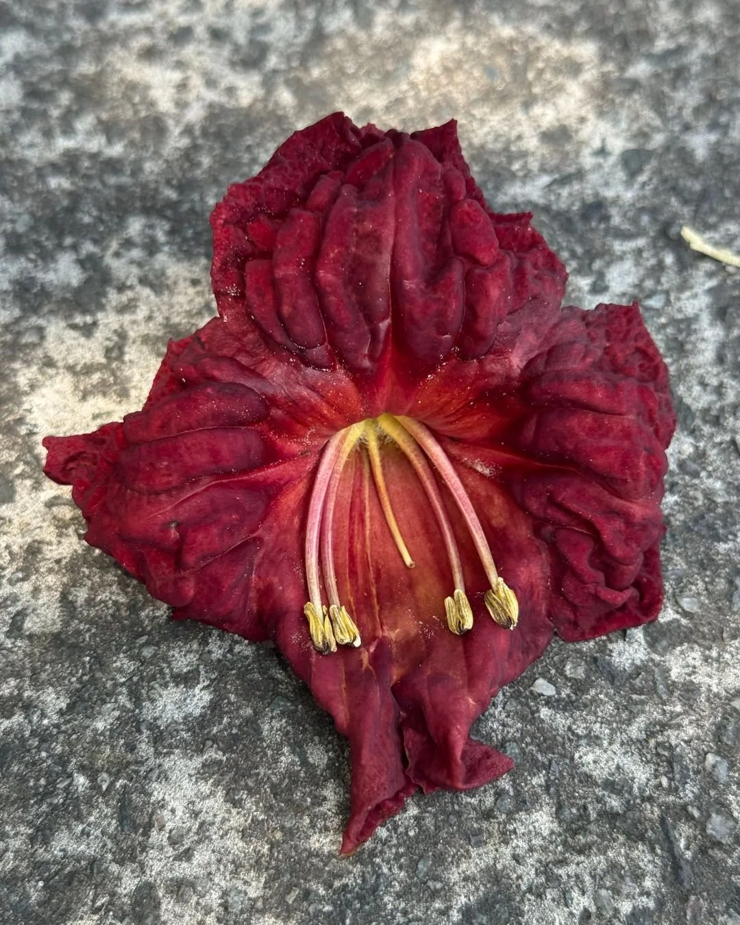 In the early days of the pandemic, I co-facilitated a class about making art from the pieces of a broken heart. This class was borne out of necessity, the way most art is.
Something needs to be said.
Something begs to be known.
At one point, we ask