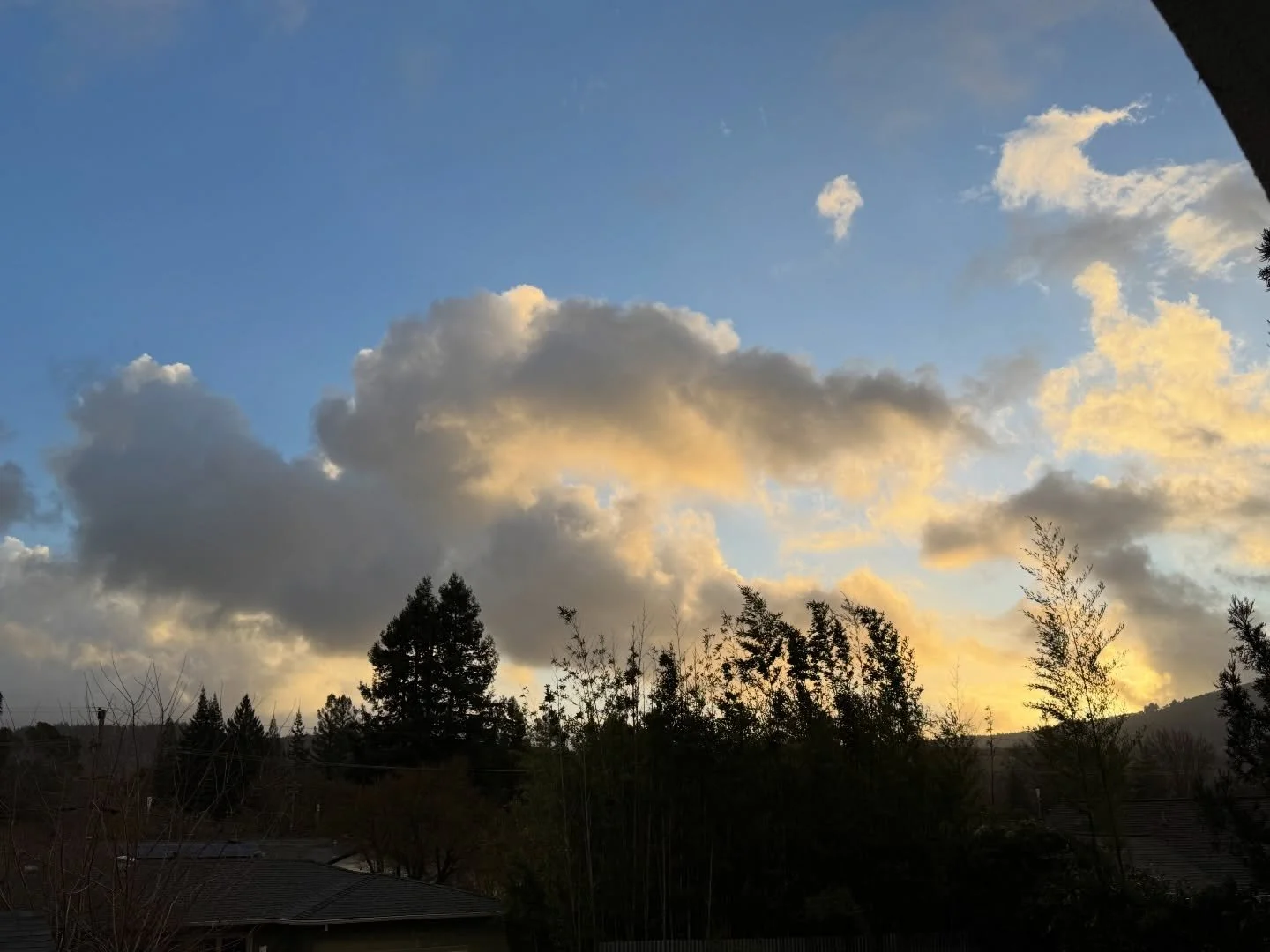 Christmas, so far&hellip;

#NorthernCalifornia #ChristmasDay