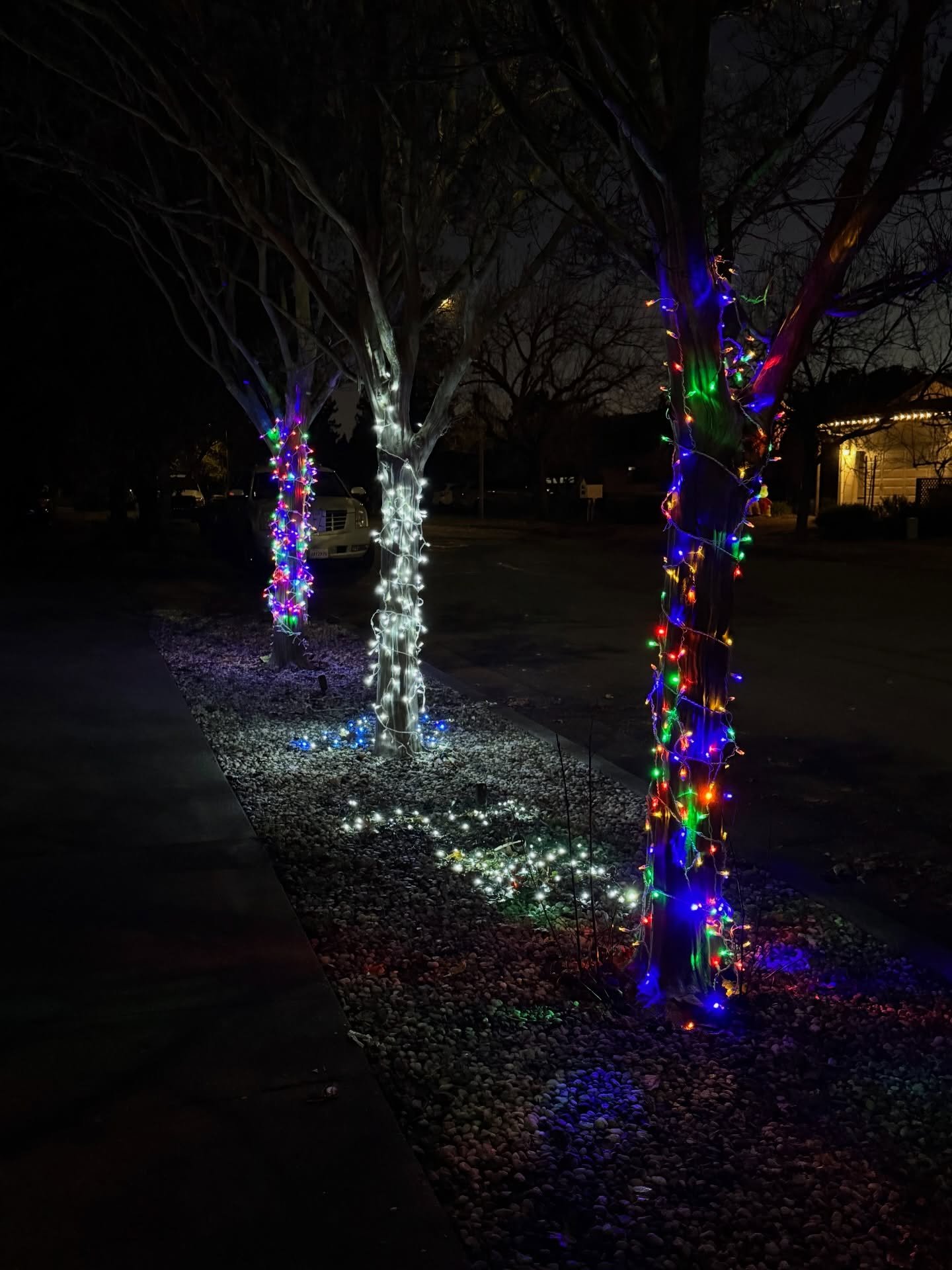 waxing moon
holiday lights
cat cuddles

#IrisanyaMoon #HeartMagick #LifeIsALoveSpell #SelfDevotion