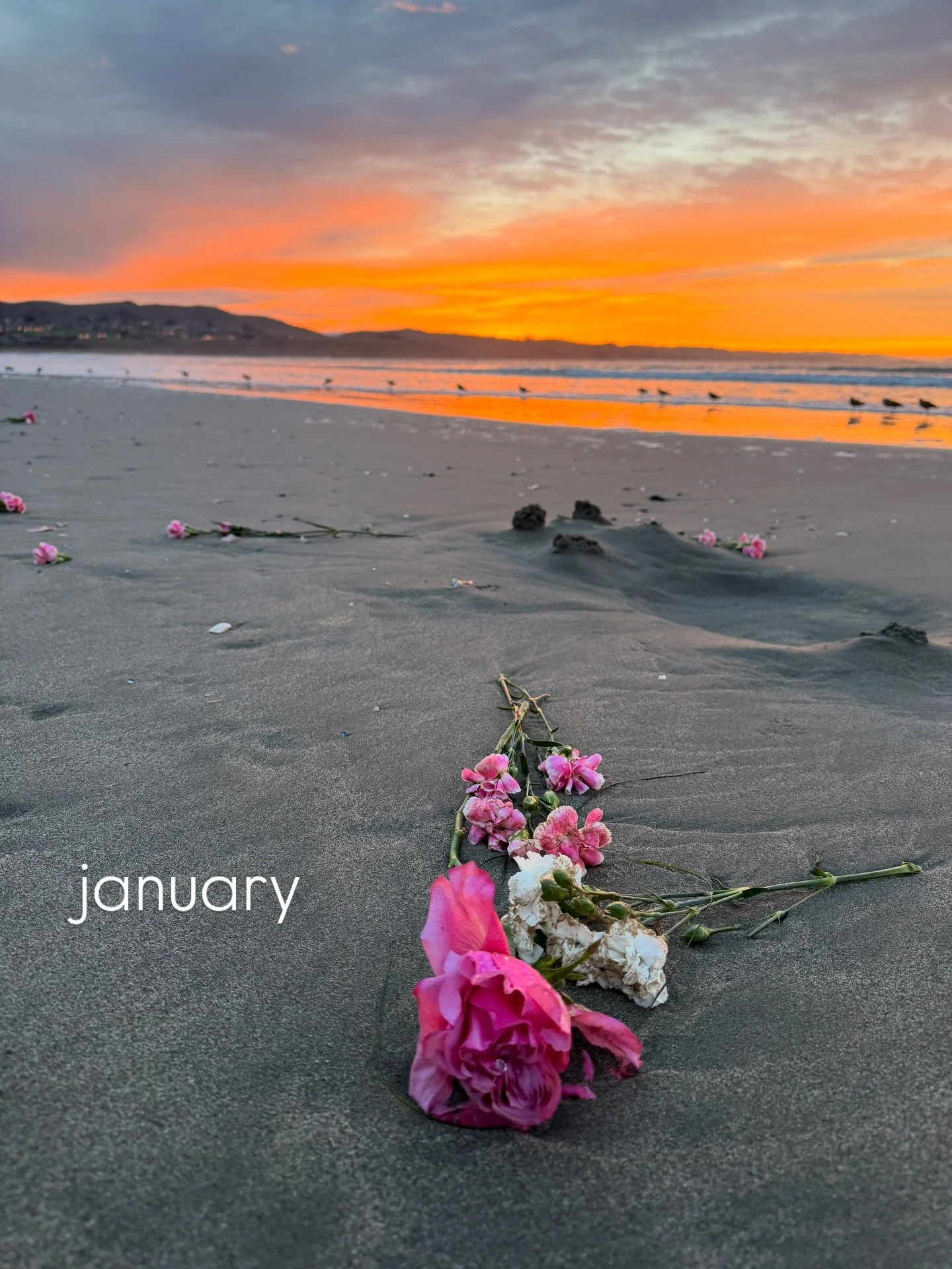 12 pictures for 12 months

#2025 #2025recap #lifeisalovespell