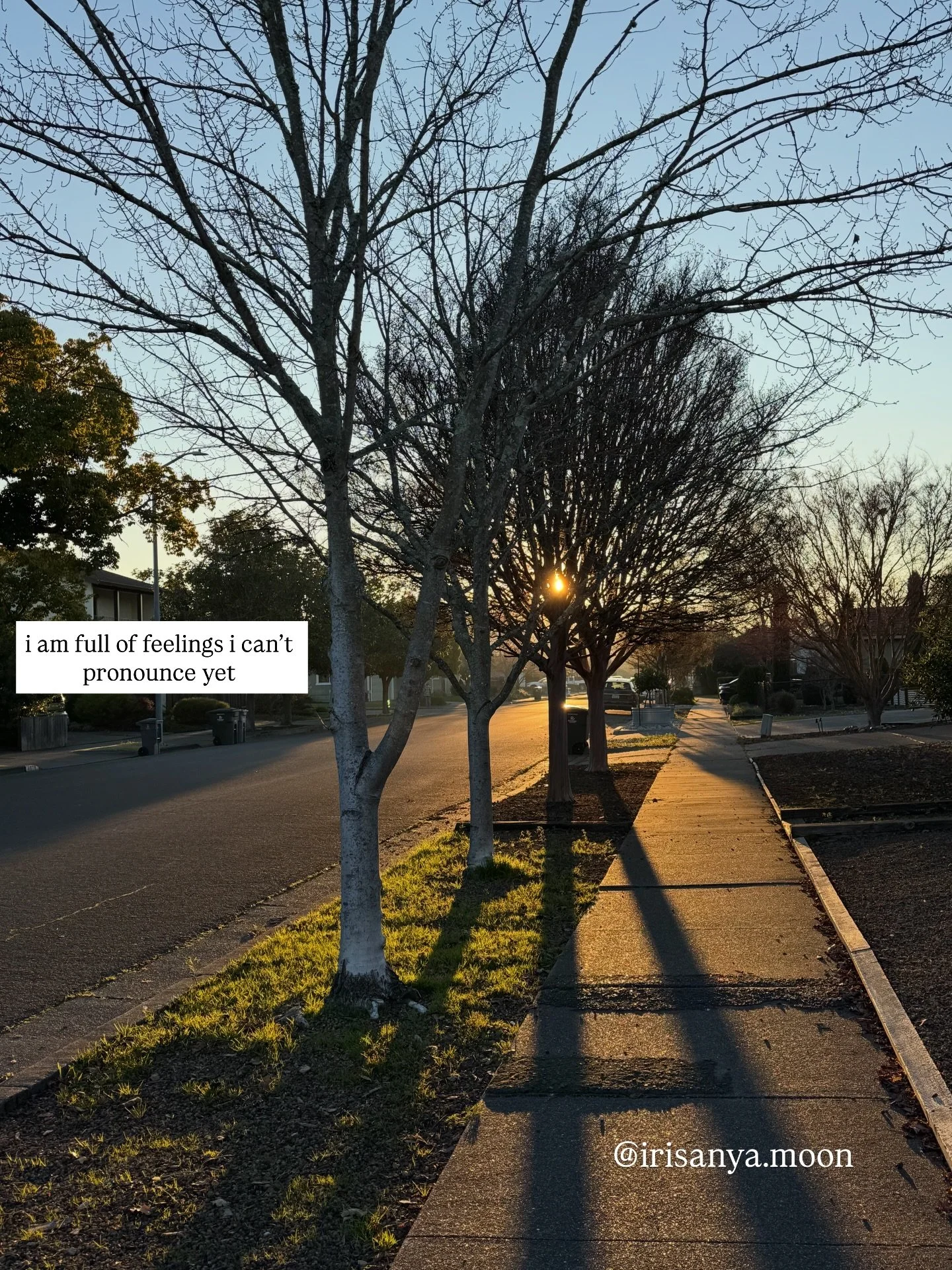i am full of 
feelings 
i can&rsquo;t pronounce
yet

#IrisanyaMoon #LifeIsALoveSpell