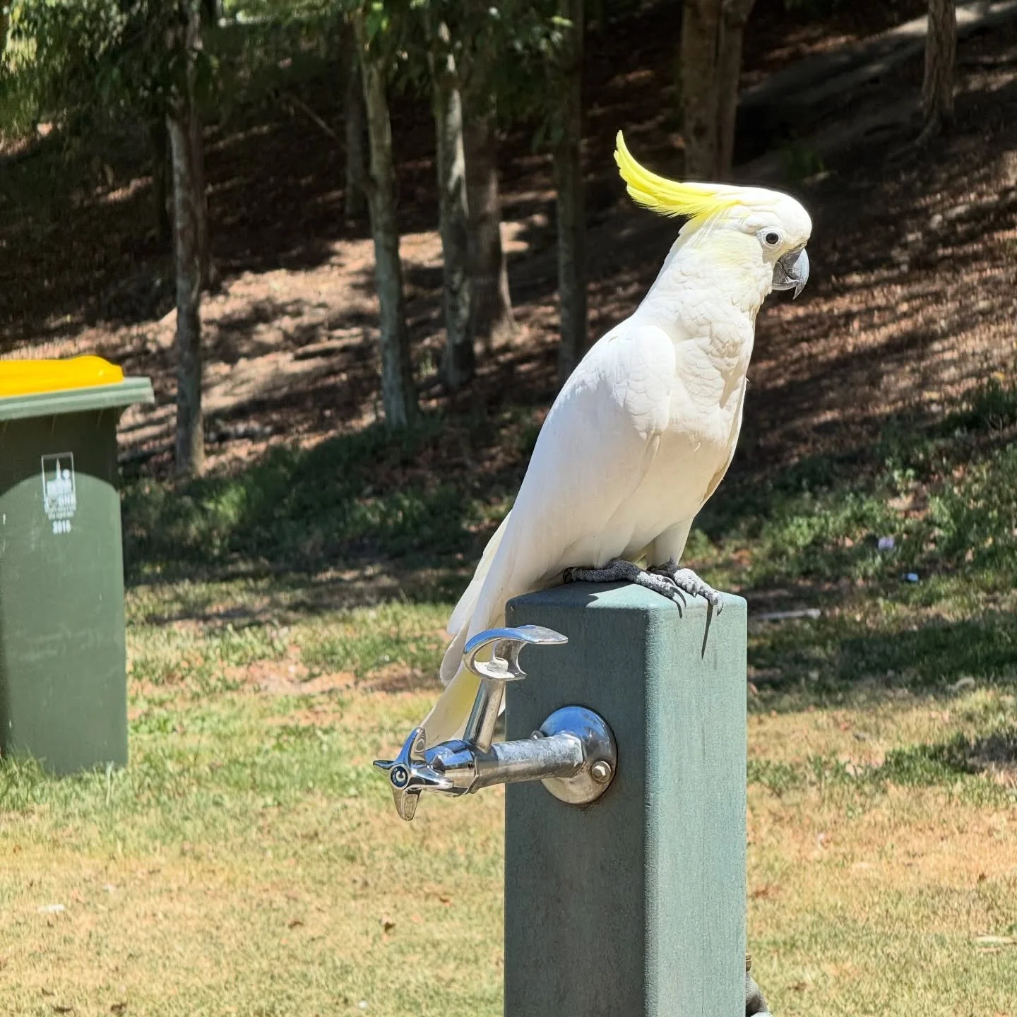 so much has been going on that I haven&rsquo;t taken many pictures or posted.

but I&rsquo;ve moved into my new place. The cats are hiding in the bathroom. I am hanging out in the bed I just put together and enjoying the fan.

so much new
so many fee