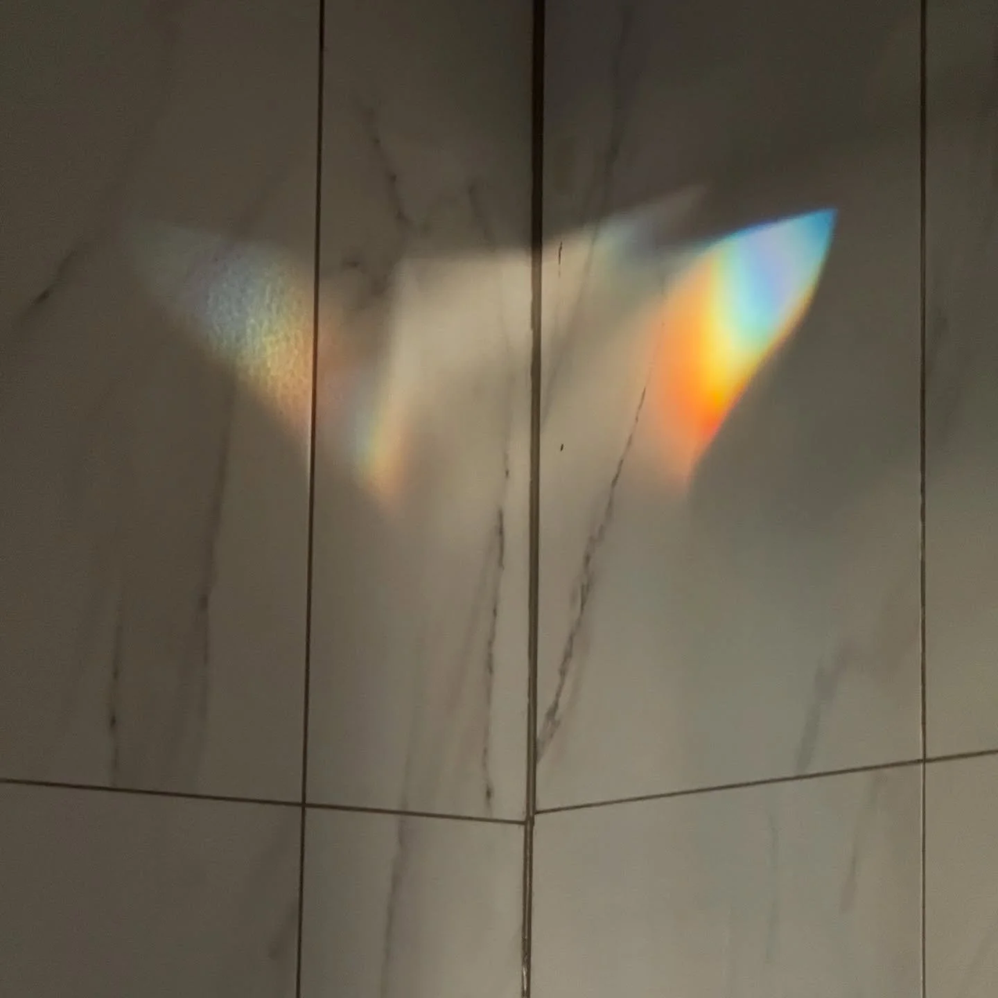 afternoon light 🌈

#IrisanyaMoon #HeartMagick #LifeIsALoveSpell #SelfDevotion