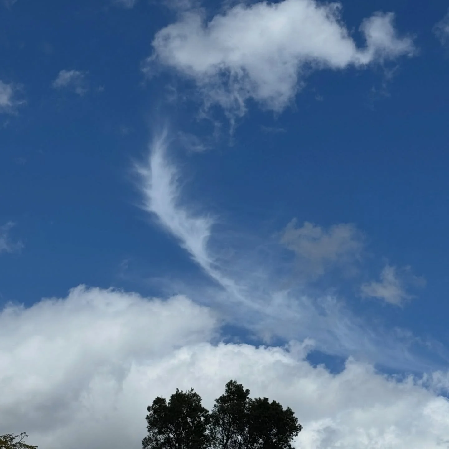 ☁️☁️☁️

#IrisanyaMoon #HeartMagick #LifeIsALoveSpell #SelfDevotion