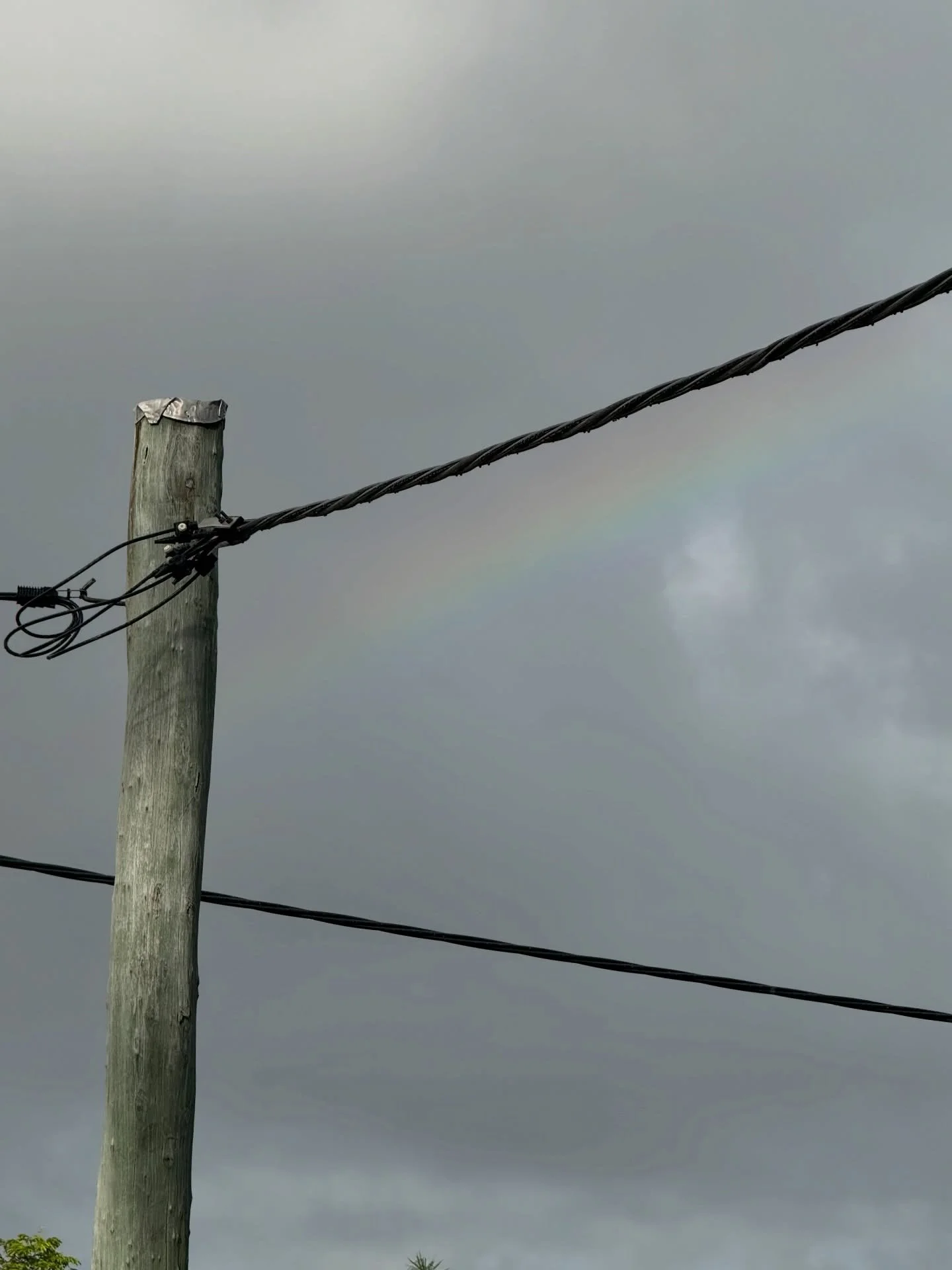 what a lovely start to the day&hellip;

#rainbow #lifeisalovespell