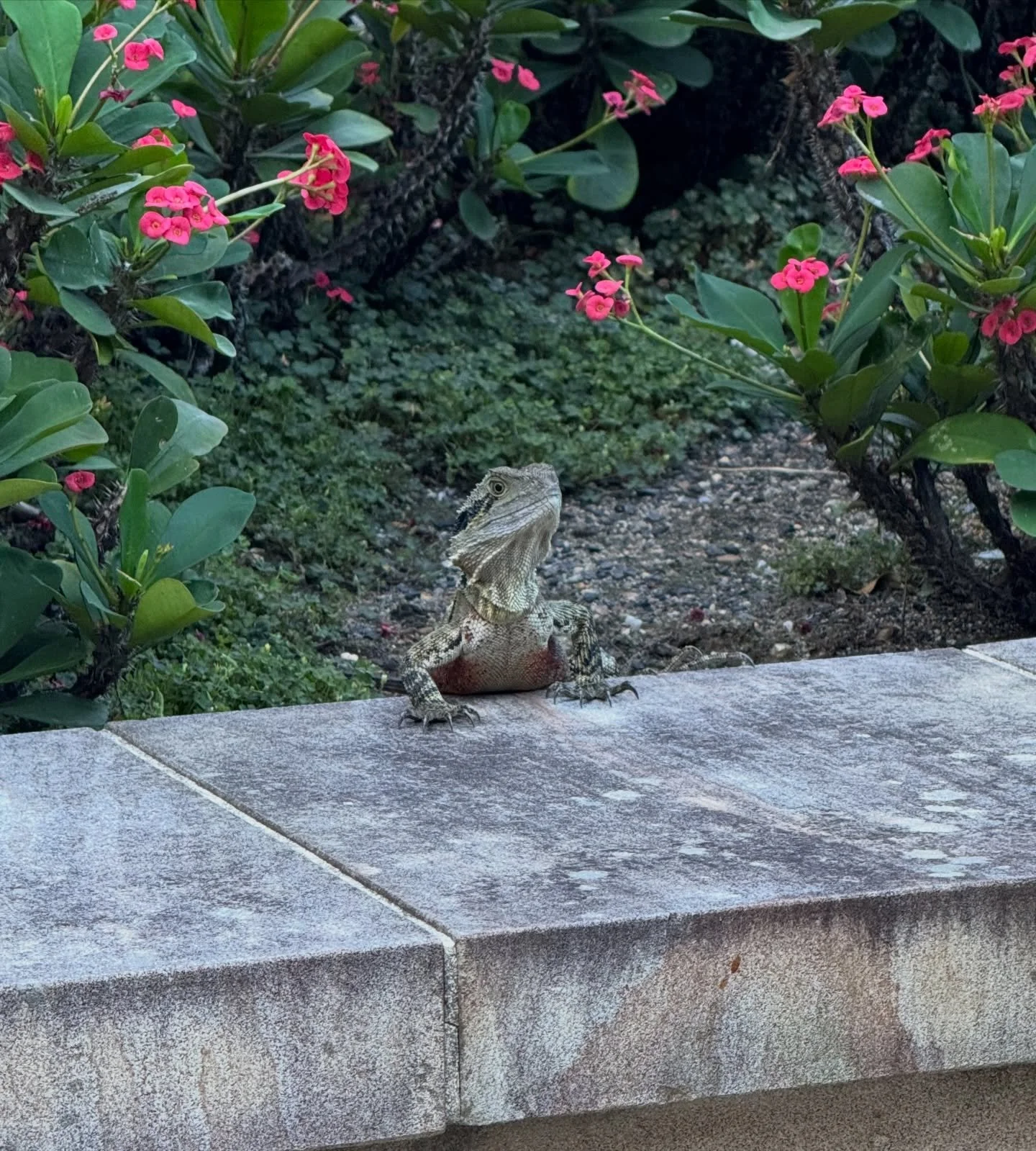 pre-class smoothie and making friend

#author #writer #postgrad #friends