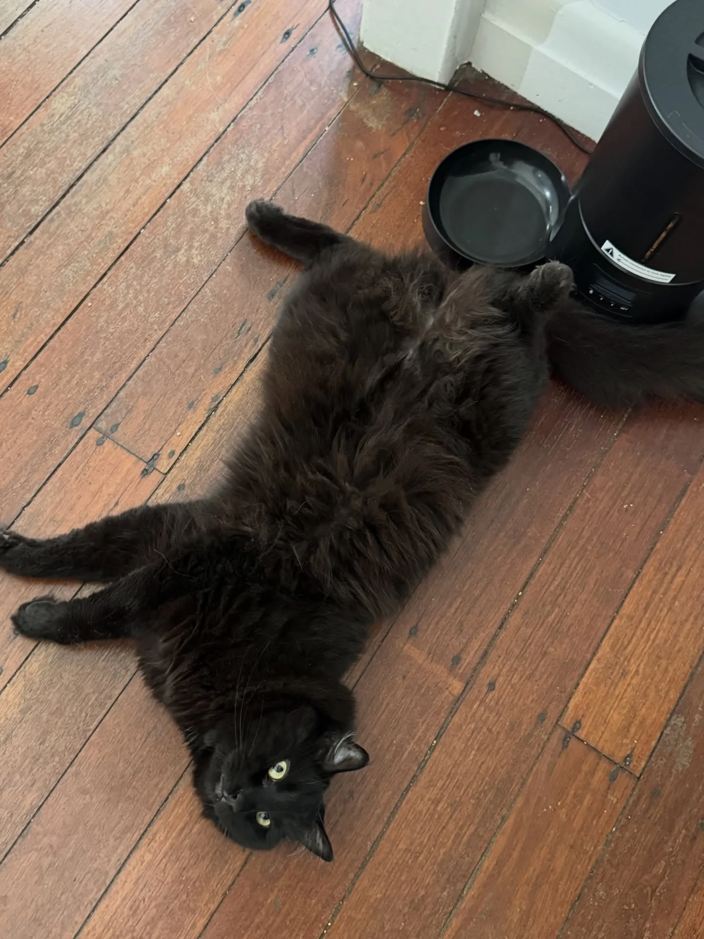 friday/saturday

#IrisanyaMoon #LifeIsALoveSpell #SelfDevotion