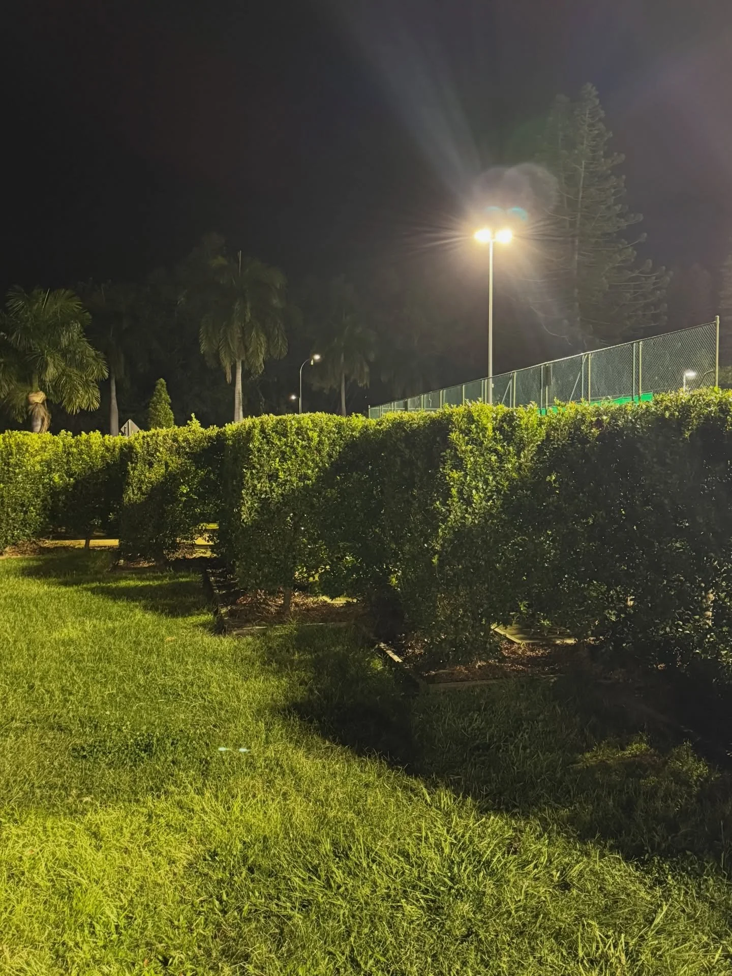 post-class hedge maze adventure ✅

#IrisanyaMoon #HeartMagick #LifeIsALoveSpell #SelfDevotion