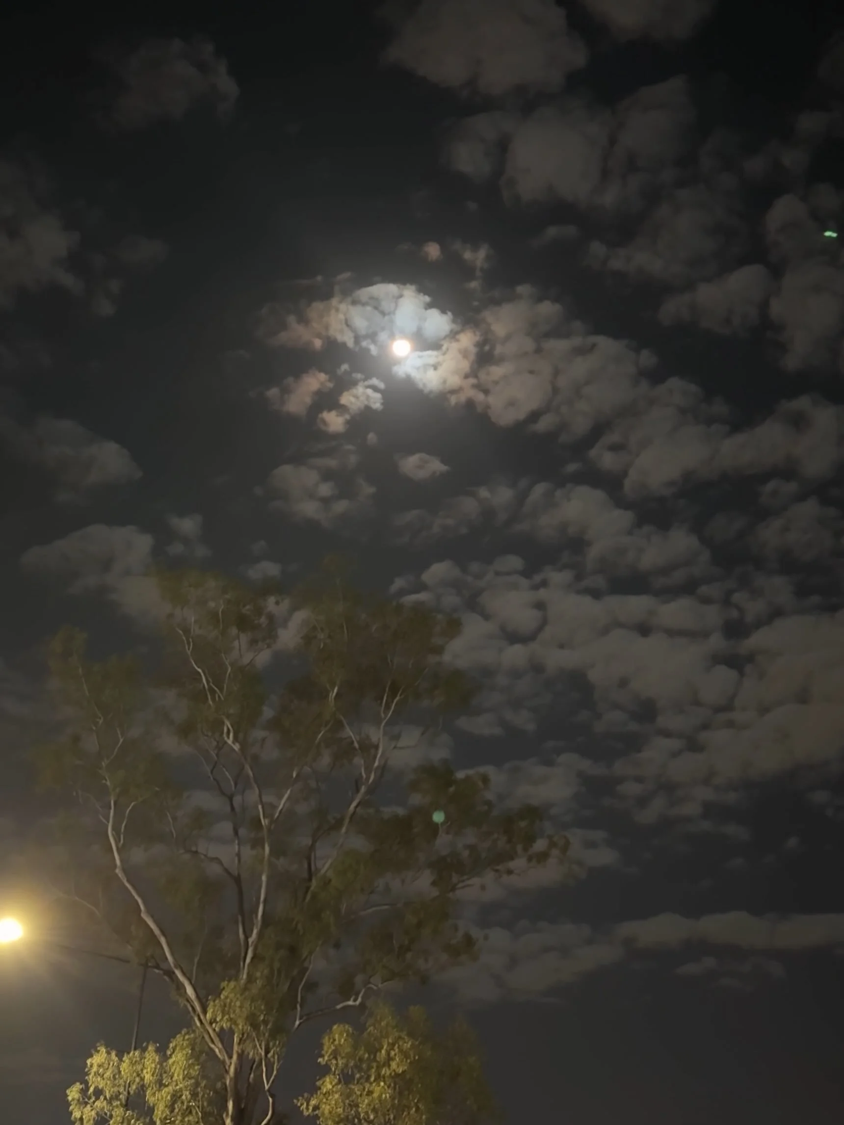 what a stunning walk home tonight&hellip;

#almostfullmoon #selfdevotion #moon #lifesalovespell