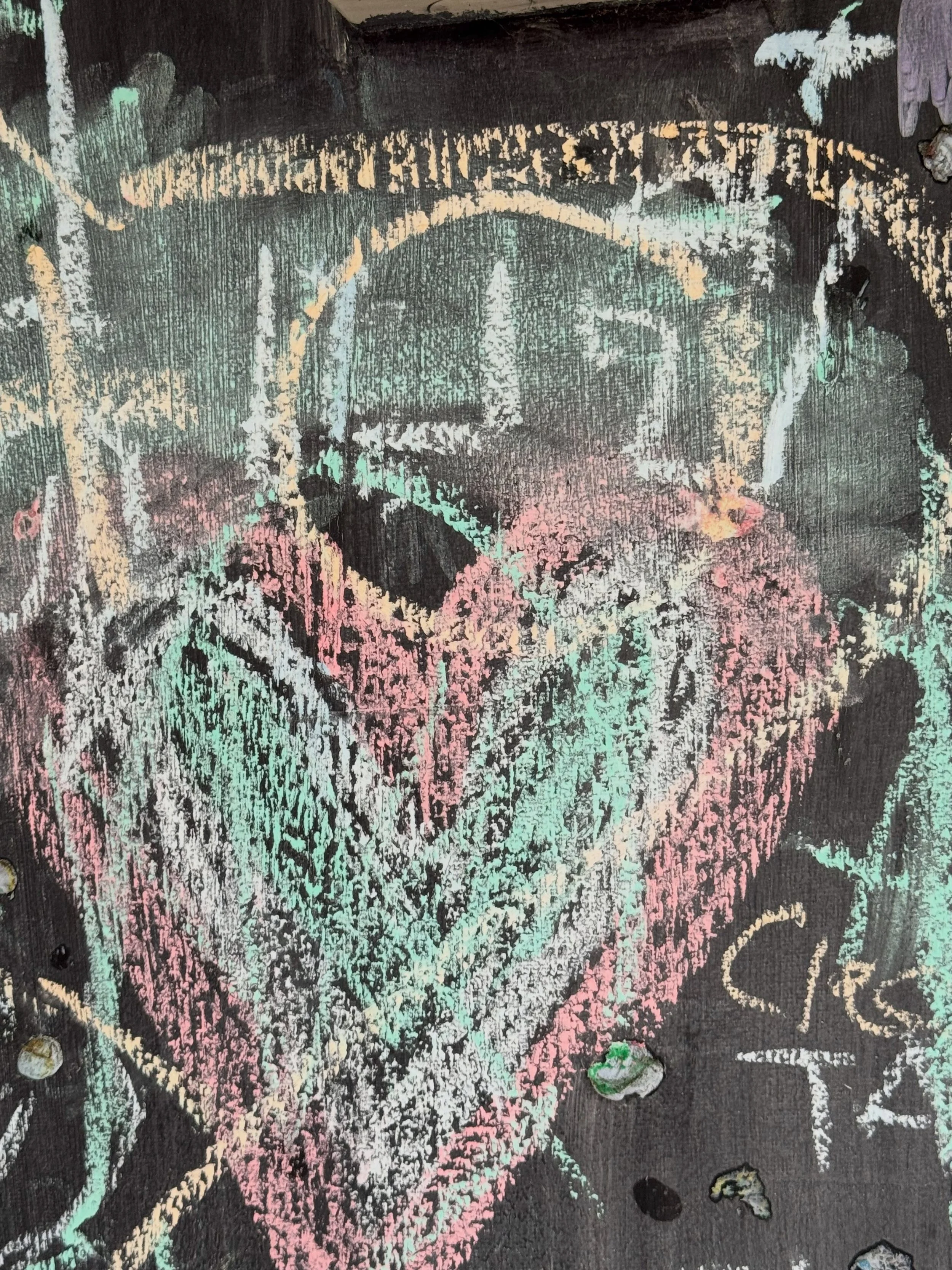 snapshots of week 11 on campus 

#lifeisalovespell #heartmagick #postgrad #beauty