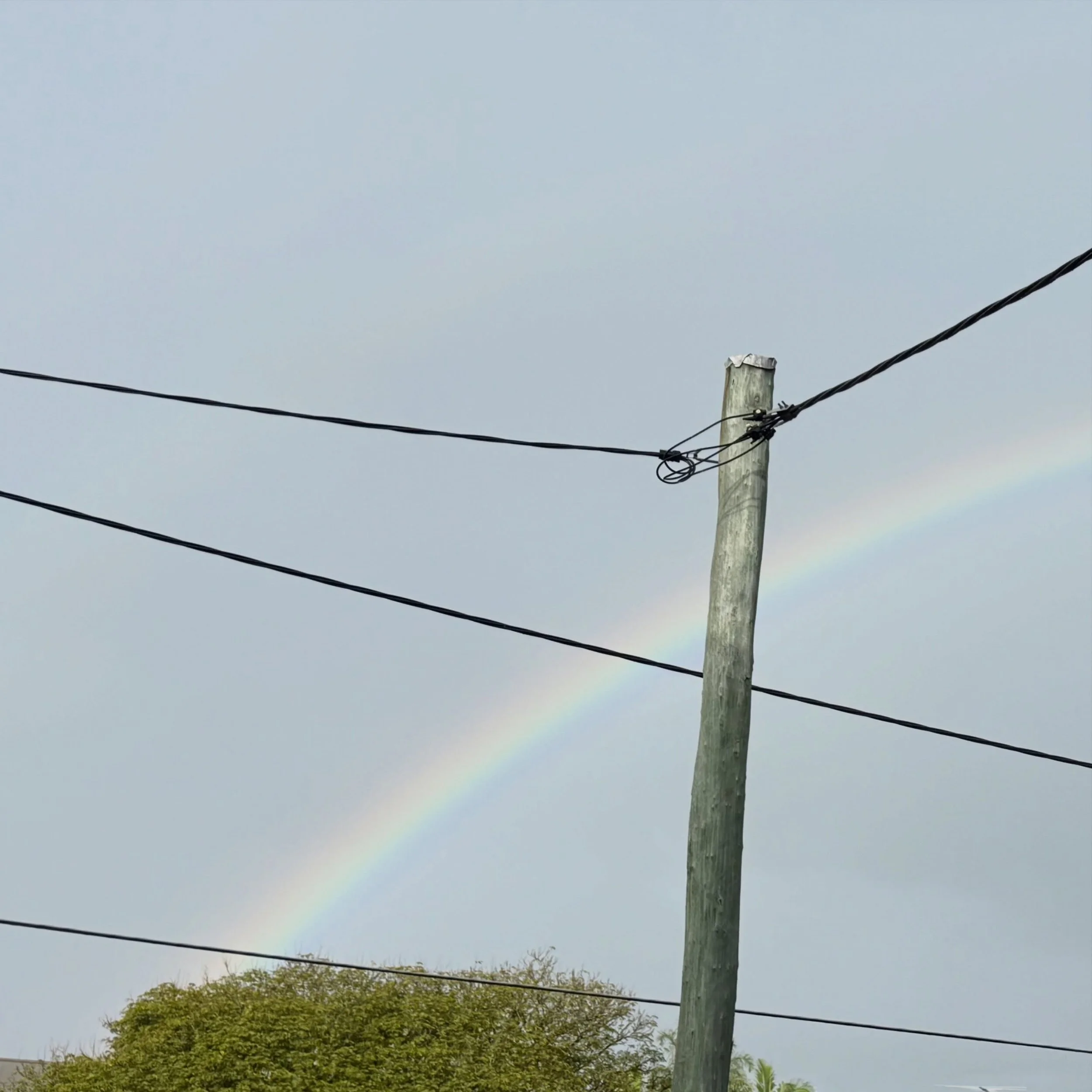 🌈🌈🌈