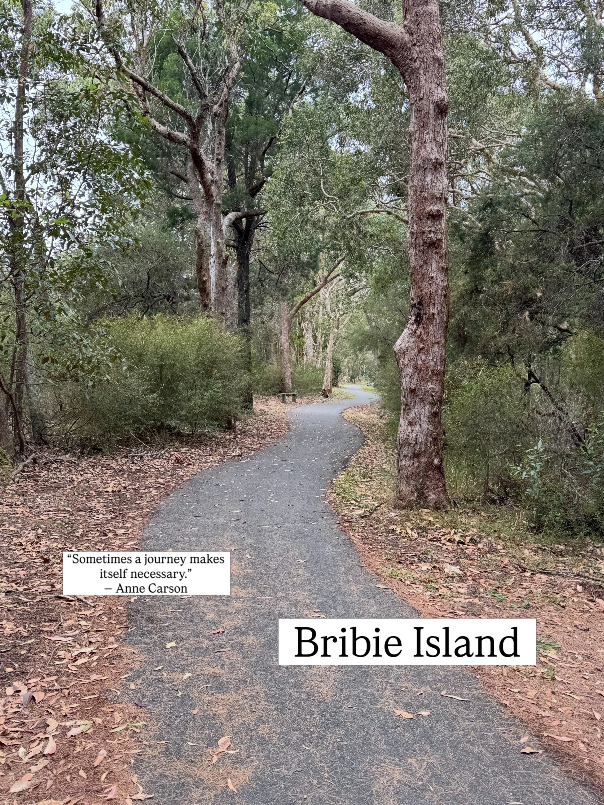 I made it out to Bribie Island, sat in the sand, walked in the rain, and watched the skies part after talking to Aphrodite.

I&rsquo;d hoped to go to the butterfly house but it was closed. Timing is everything.

#lifeisalovespell #selfdevotion #ocean