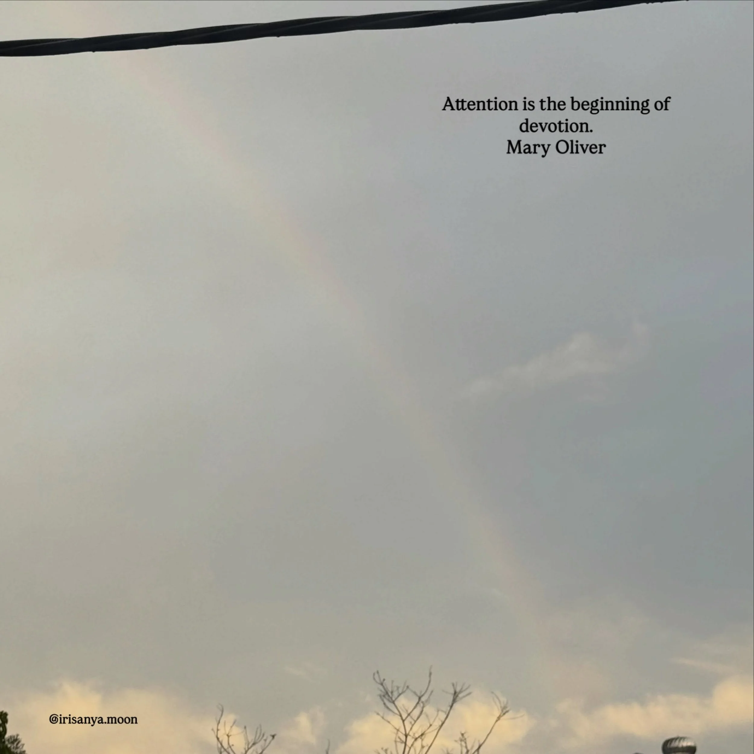 &ldquo;Attention is the beginning of devotion.&rdquo; - Mary Oliver 

#rainbow #iris #lifeisalovespell #heartmagick