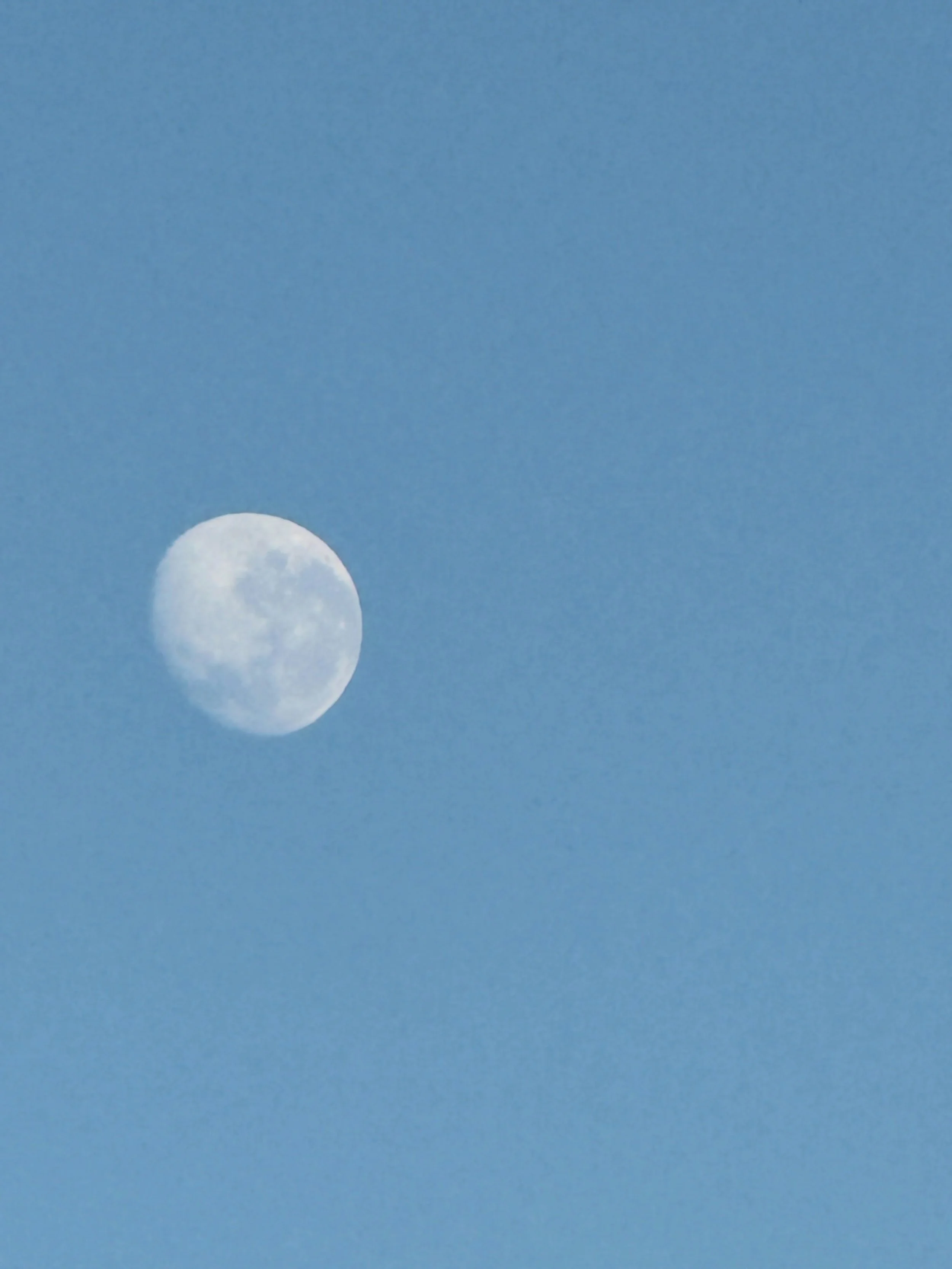 the waves return and i turn over into
the moonlight on my head
a blessing wound in the insistence of dawn, 
which always comes

nothing has burned down
no one is blameless
and the moon is sinking into 
a wiser morning 

#dream #insomnia #moon #fullmo