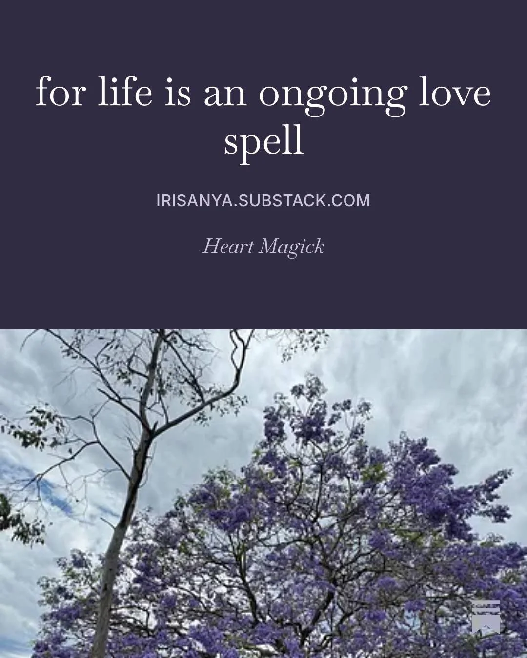 Next week, can I share with you something I really want?

Desires change, after all.

#heartmagick #desire #lifeisalovespell #beltane