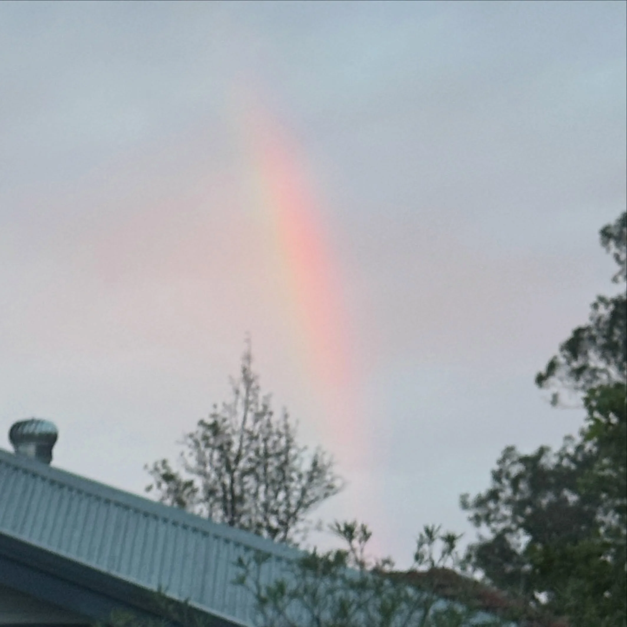 It was a blink-and-you-might-miss-it rainbow&hellip;

I saw it from my bed and scrambled to find my glasses to get a better look. (I fed the cats first, of course.)

It was gone in minutes. But I saw it.

#rainbow #iris #lifeisalovespell #healing