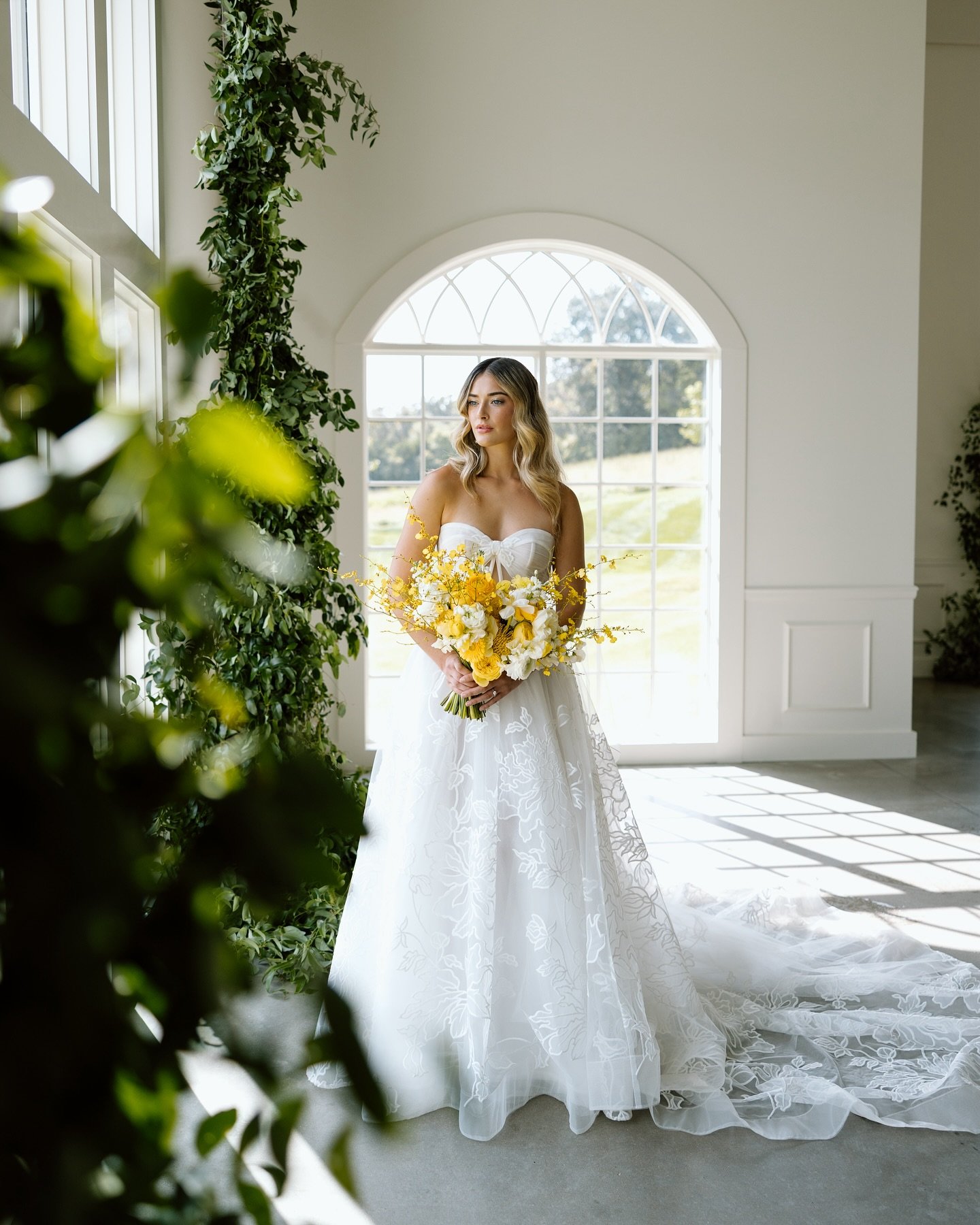 Bridal portraits 🤝🏼 @westwind_hills 

Venue + Bar: Westwind Hills @westwind_hills 
Bridal Gowns: Tailored Bridal @tailoredbridal.stl 
Makeup &amp; Hair: MW Beauty @mwbeautystl 
Models: West Model Management @westmodelmgmt

#weddingphotography #wedd