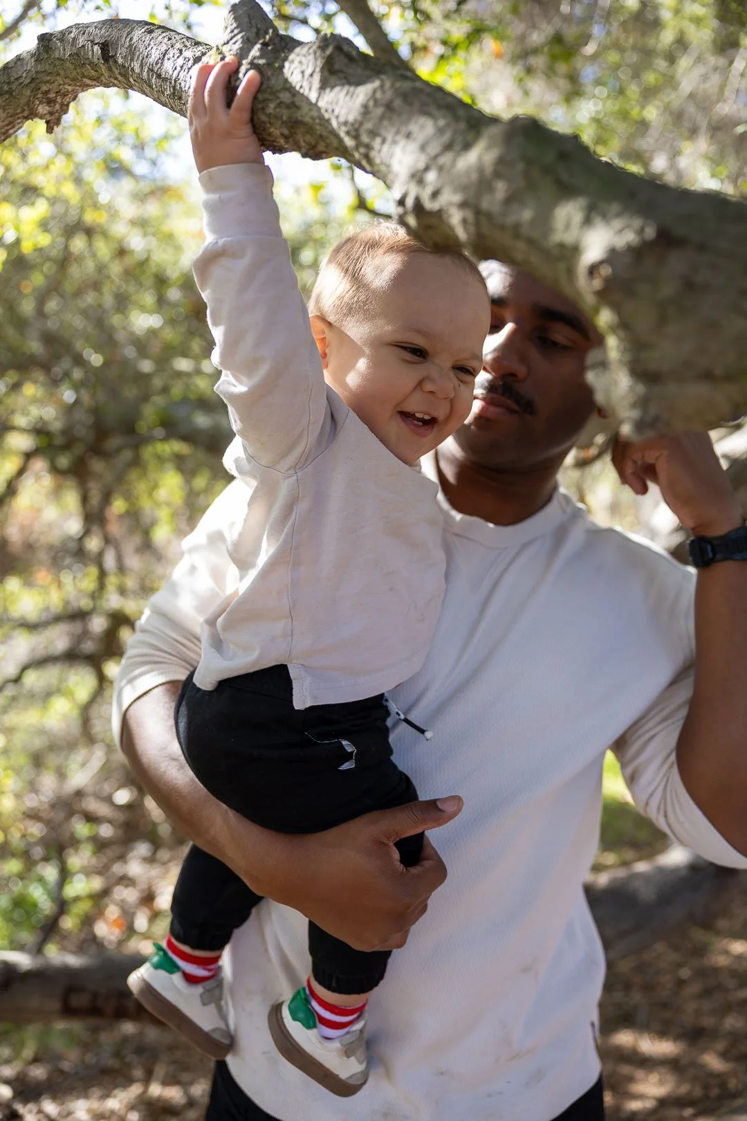 A man is holding a young boy up near a tree branch outdoors in a wooded area, with sunlight filtering through the leaves, and the boy is smiling and reaching up to touch the branch.