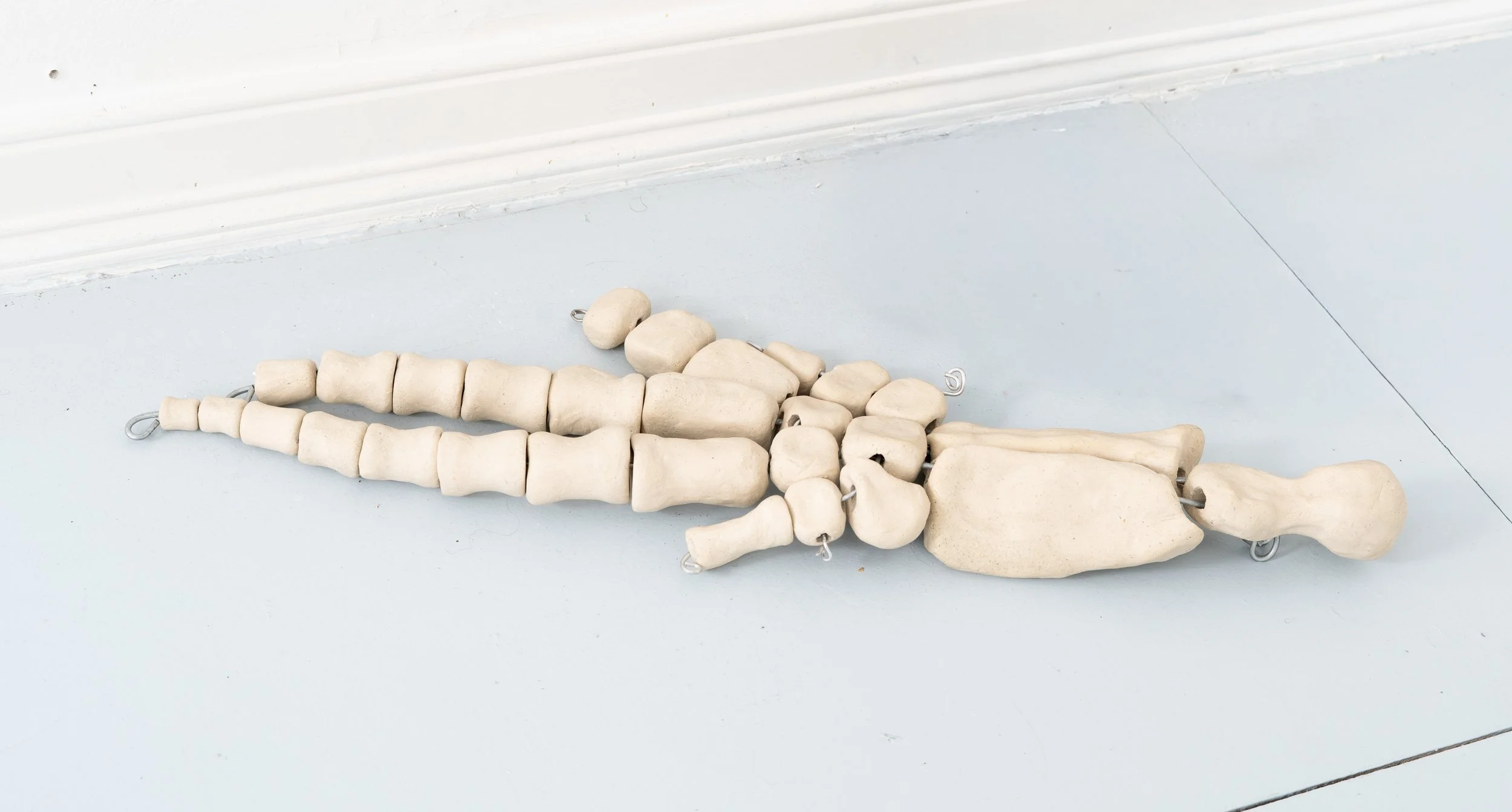 Jared Goldfischer,  Bottlenose Dolphin Flipper , 2026. White stoneware and steel wire, 2 x 22 x 8 in.