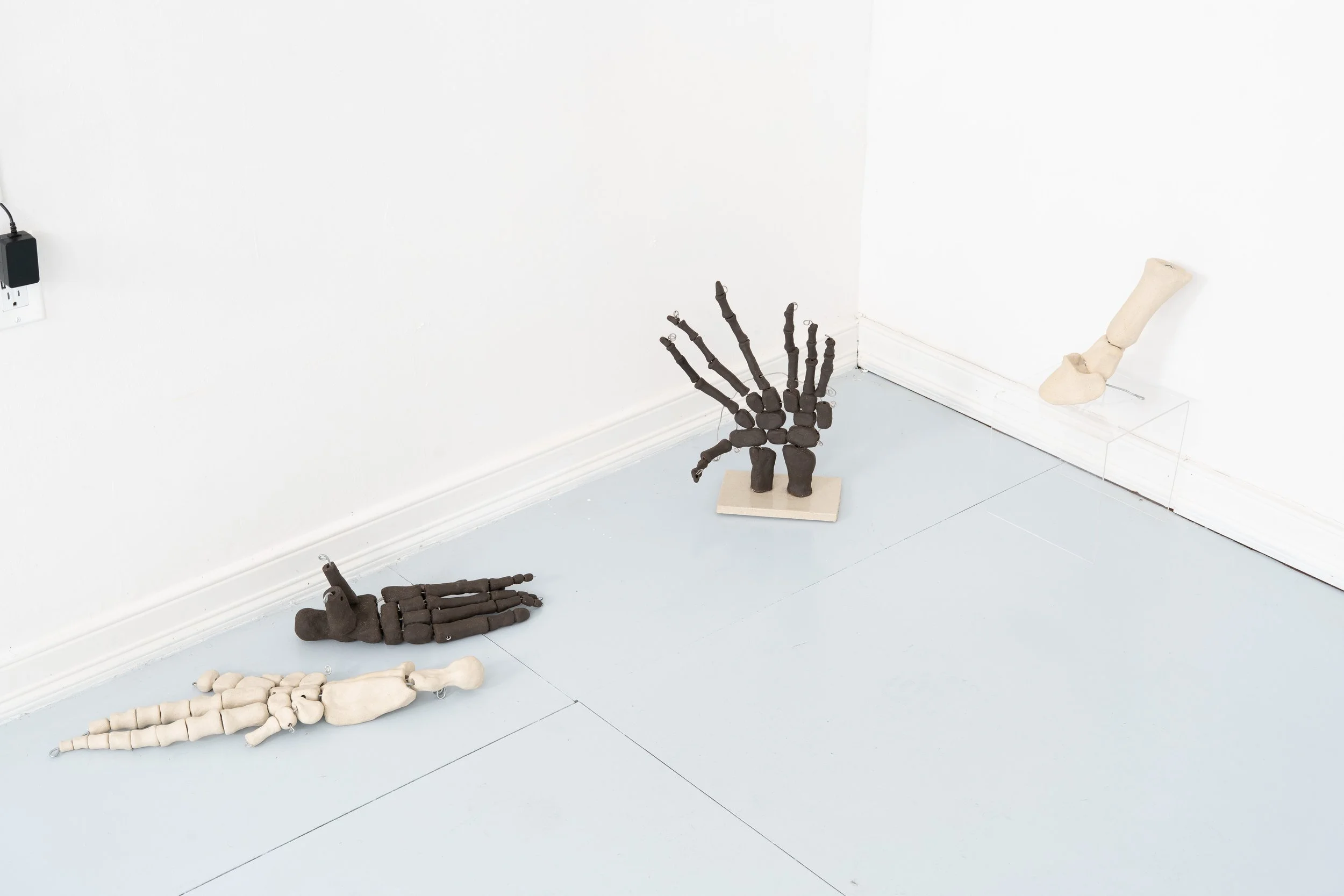 Installation view:  Armarium Mirabilium , presented by Plum Gallery. Ptolemy, Queens, NY, 2026.