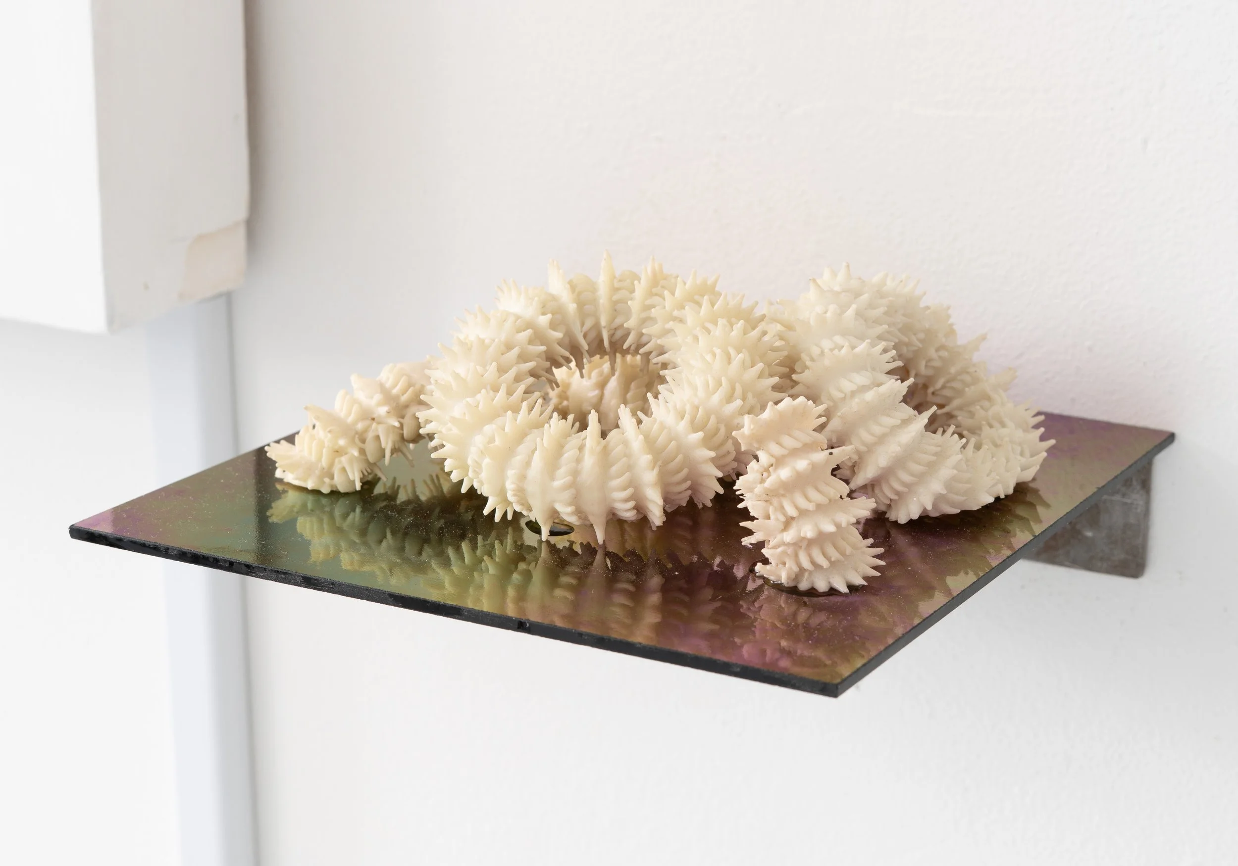 Miguel Ángel Salazar & Carlos Iván Hernández,  Equinogalakteas , 2022. 3D printed resin, glass, 4 x 8 x 8 in.