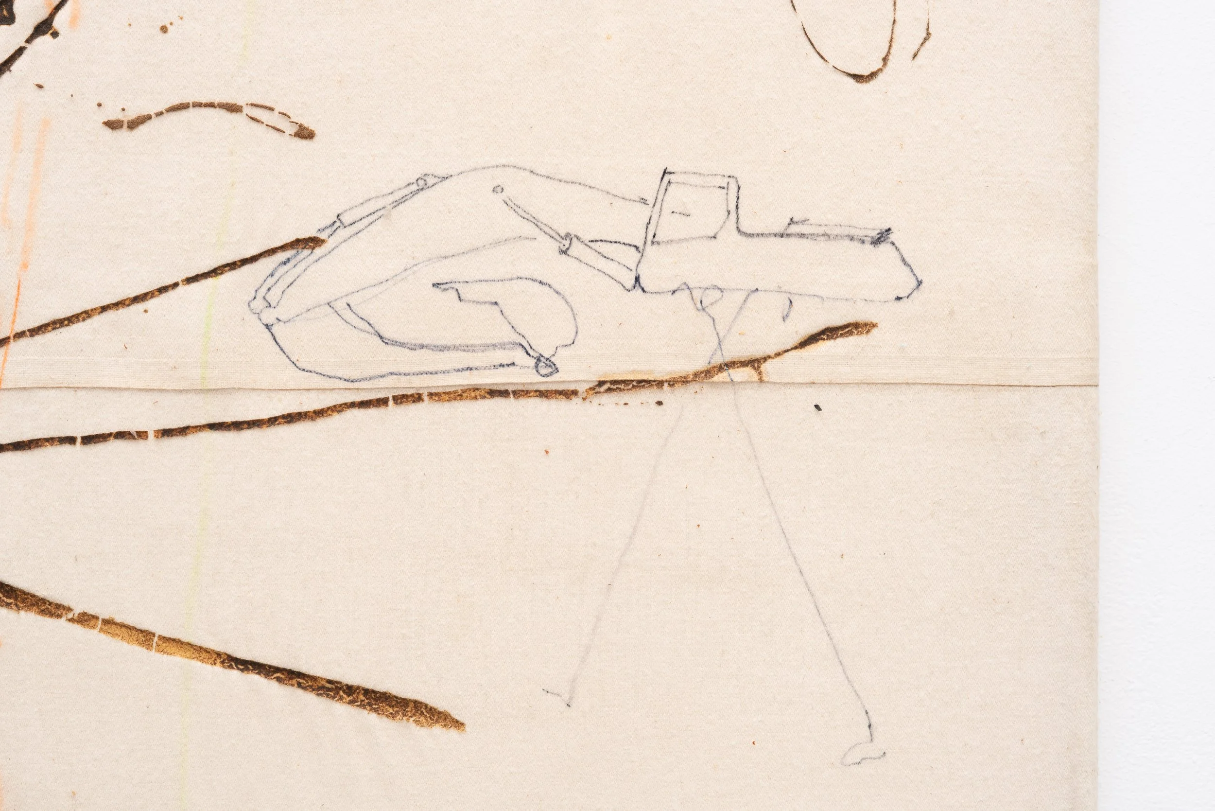 Bill Saylor,  Untitled , 1995 (detail). Sea kelp on fabric, 91 x 84 in