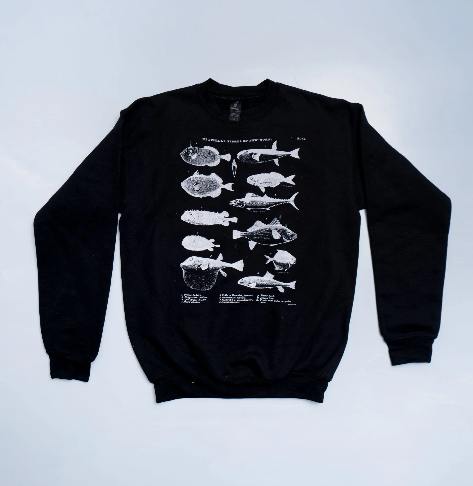 Shop Nov 25-172.jpg