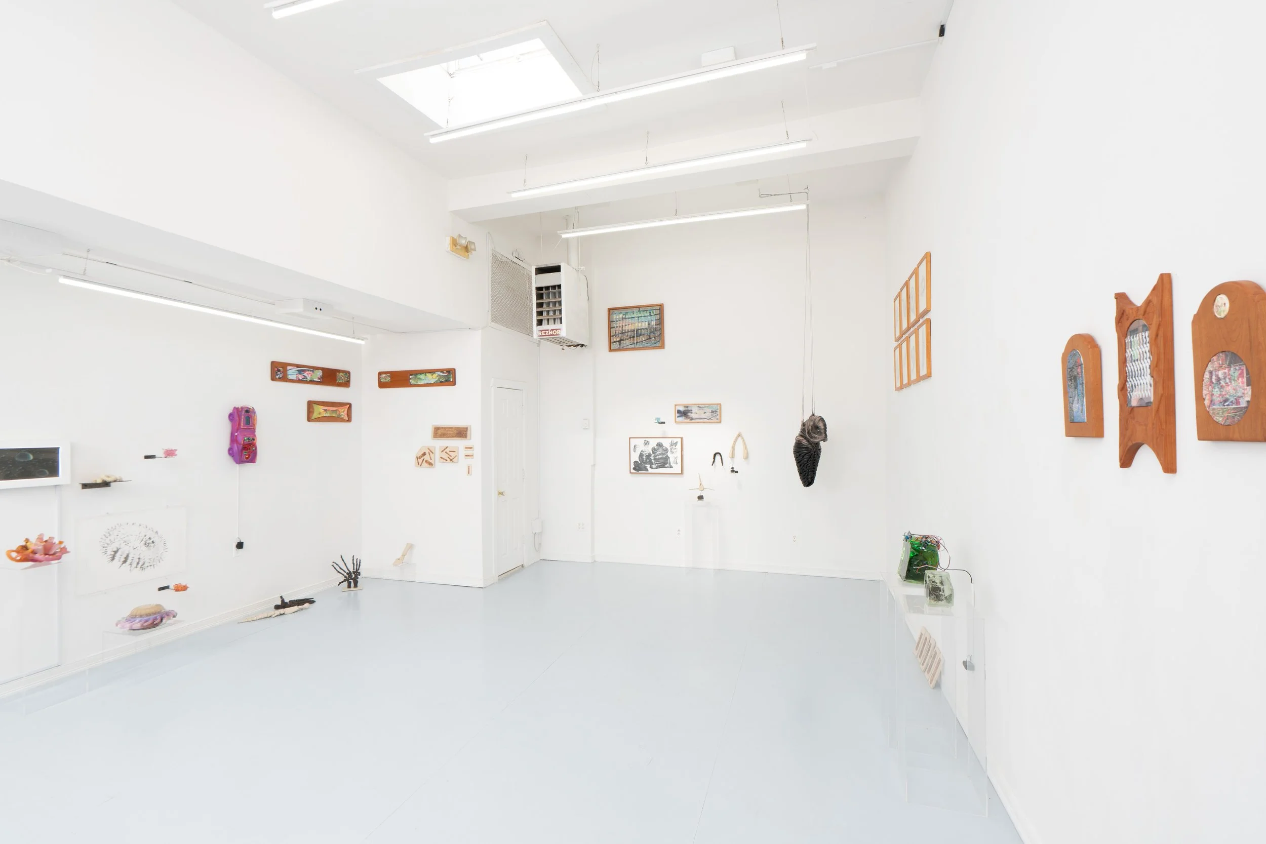 Installation view:  Armarium Mirabilium , presented by Plum Gallery. Ptolemy, Queens, NY, 2026.