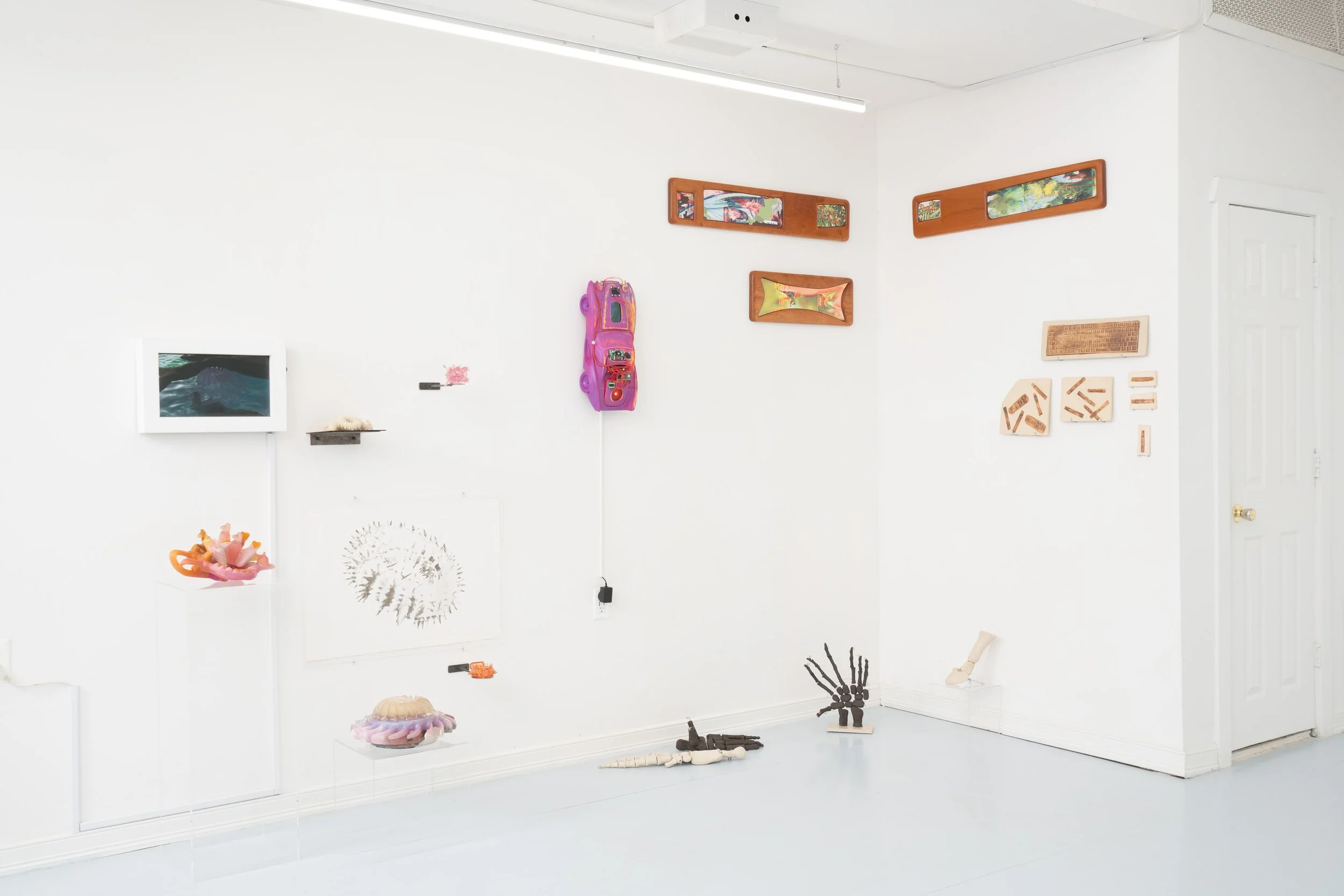 Installation view:  Armarium Mirabilium , presented by Plum Gallery. Ptolemy, Queens, NY, 2026.