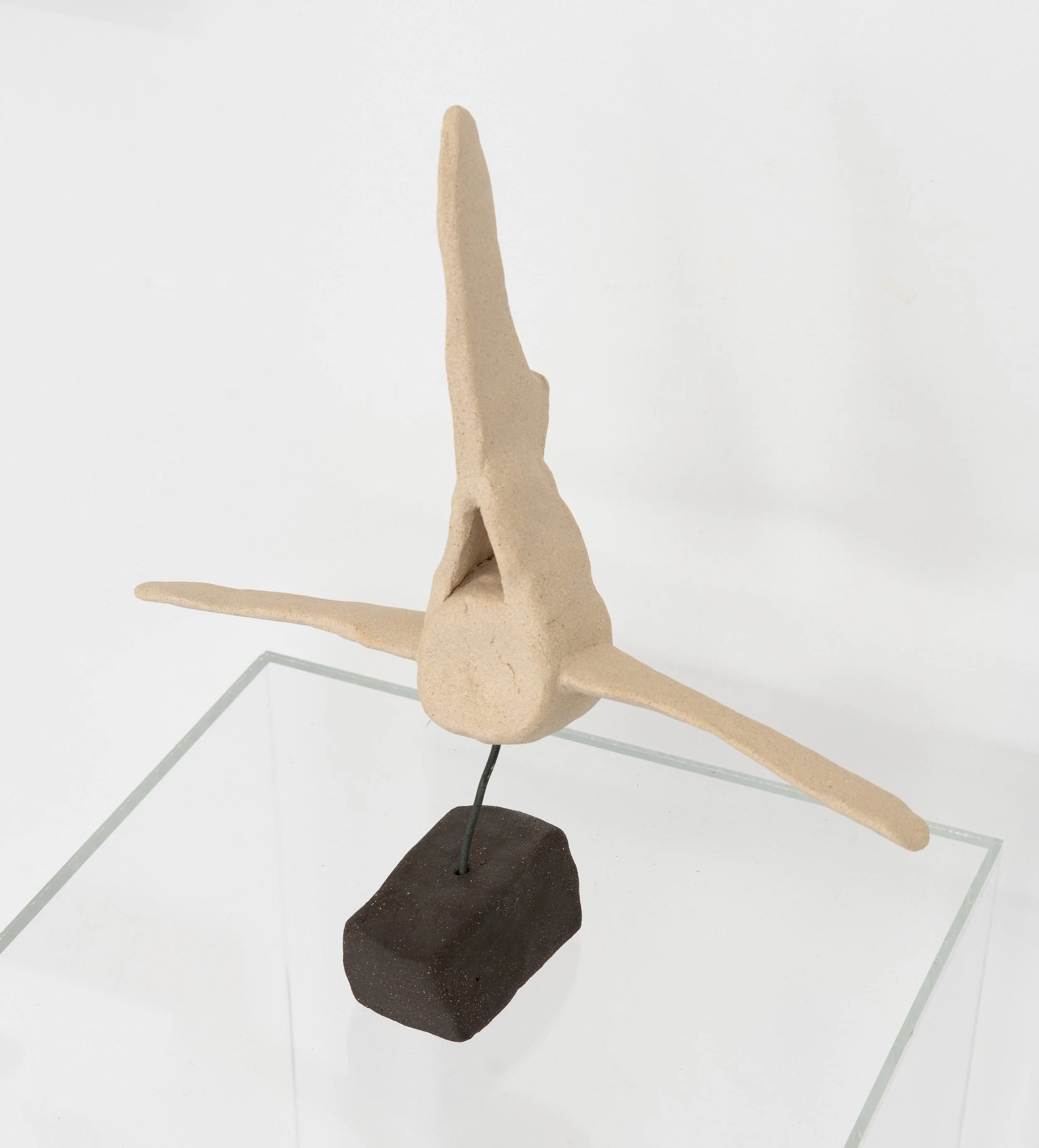 Jared Goldfischer,  Bottlenose Dolphin Vertebrae , 2026. White stoneware, 12 x 10 x 3 1/2 in.
