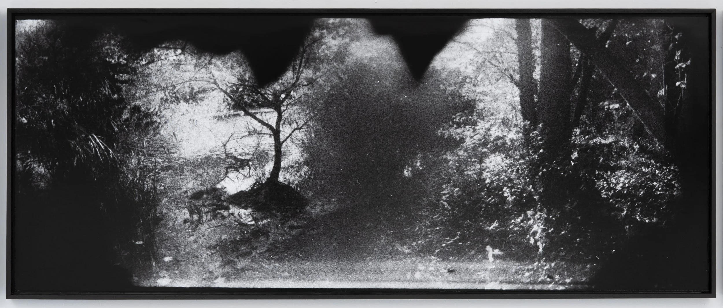 Leor Miller,  Experiential Blur (Creek Trail) , 2025. Inkjet print, 30 x 75 1/2 in