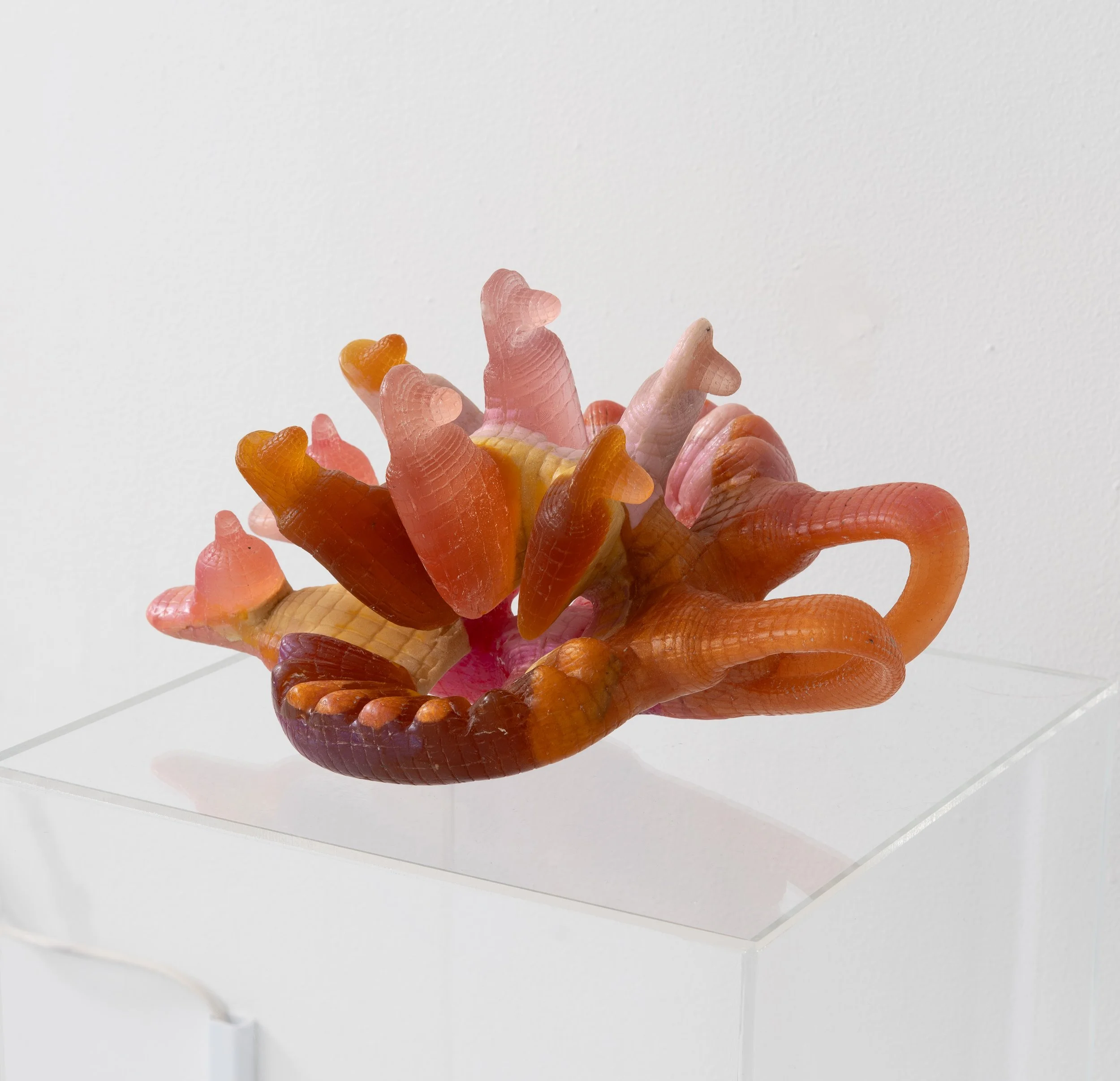 Miguel Ángel Salazar & Carlos Iván Hernández,  Dinocardia , 2026. Cast Resin, 6 x 13 x 13 in.