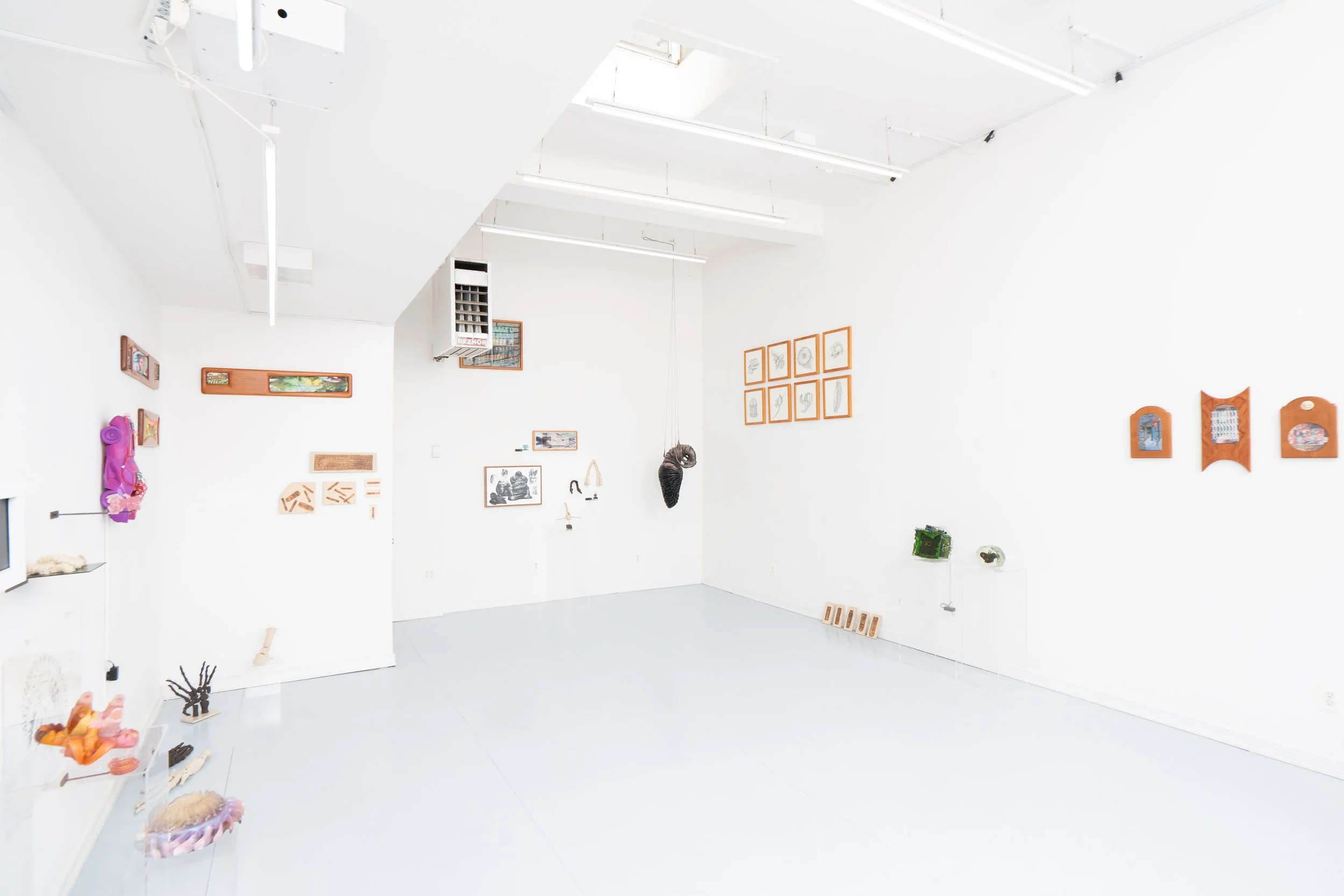 Installation view:  Armarium Mirabilium , presented by Plum Gallery. Ptolemy, Queens, NY, 2026.