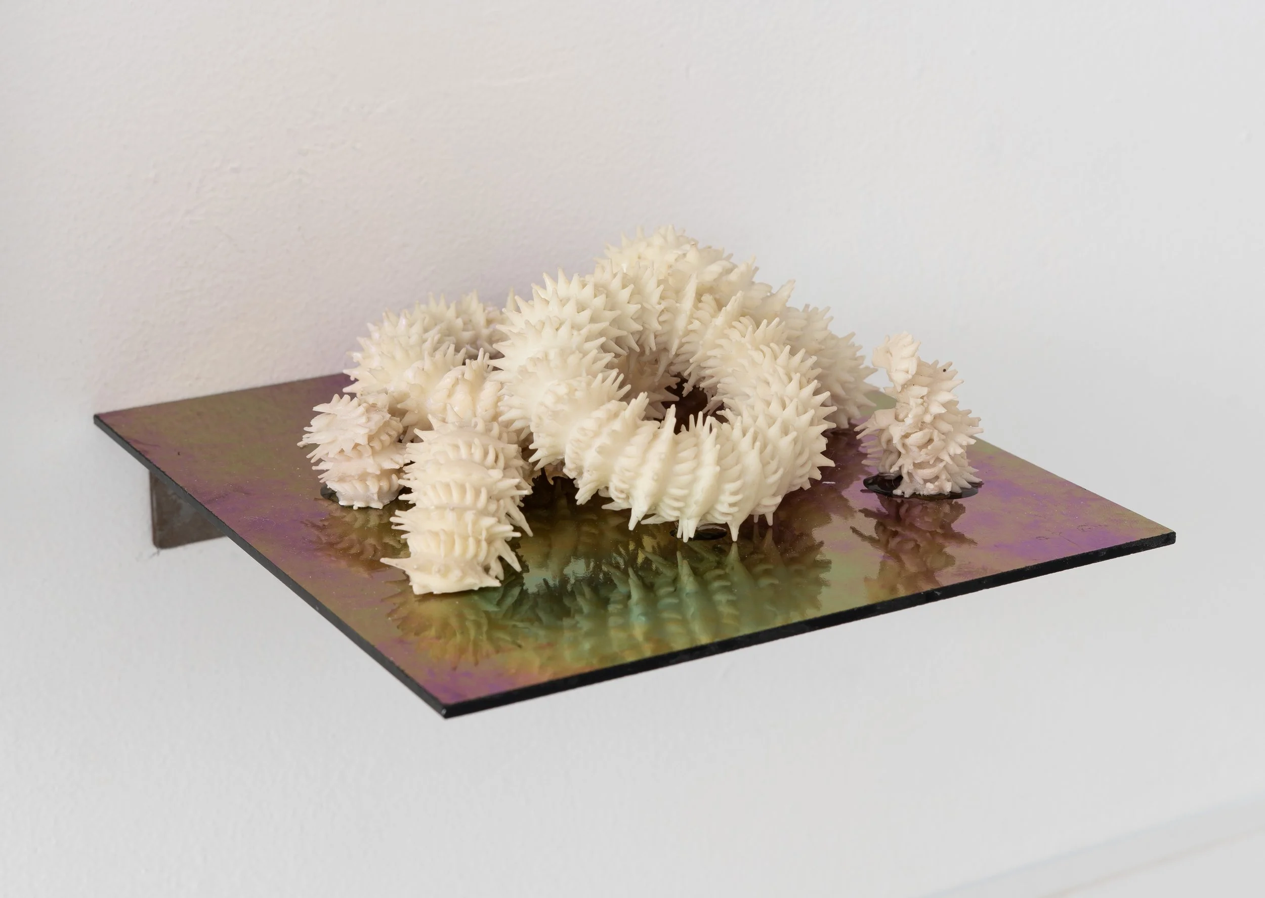 Miguel Ángel Salazar & Carlos Iván Hernández,  Equinogalakteas , 2022. 3D printed resin, glass, 4 x 8 x 8 in.