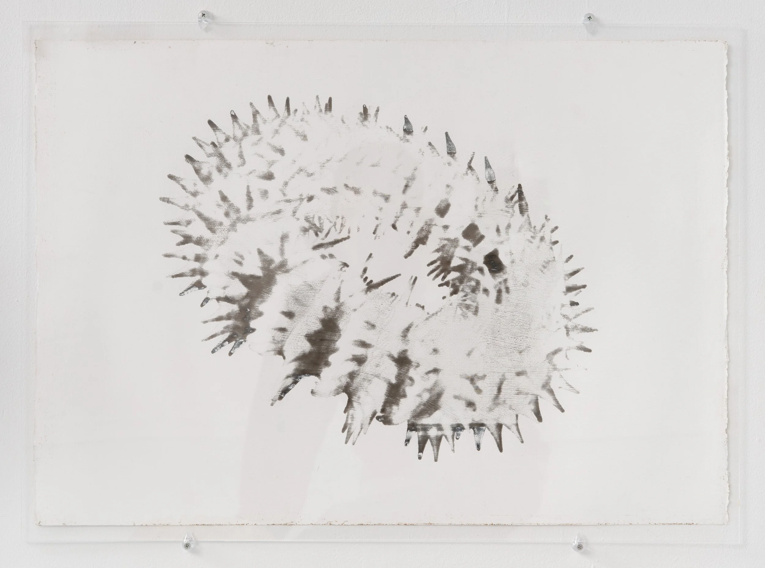 Miguel Ángel Salazar & Carlos Iván Hernández,  Equinogalaktea , 2026. CNC sketch made with silver point on cotton paper with gesso, 21 x 29 in.