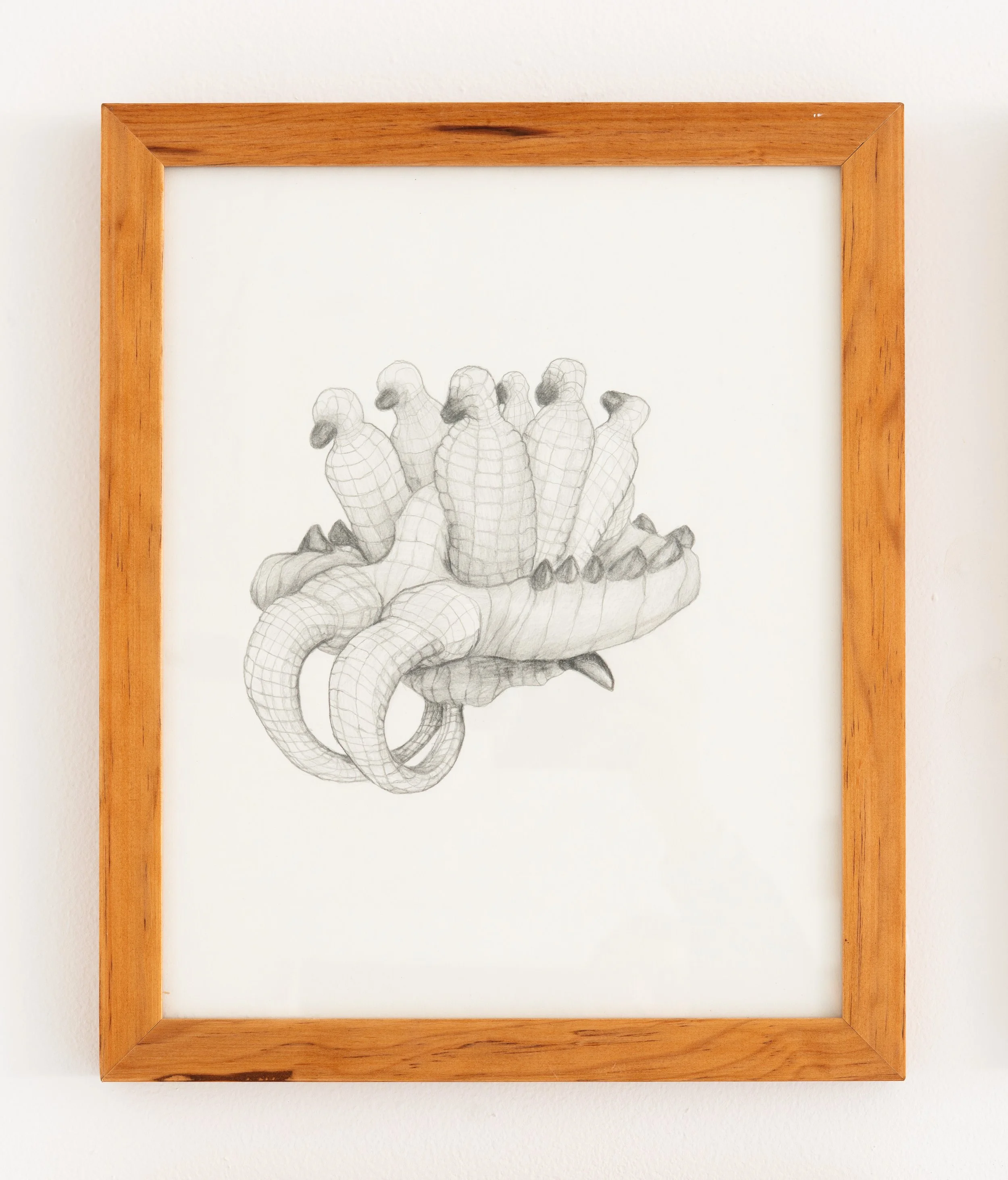 Miguel Ángel Salazar & Carlos Iván Hernández,  Dinocardia , 2024. Pencil on paper, 15 3/8 x 12 5/8 in.