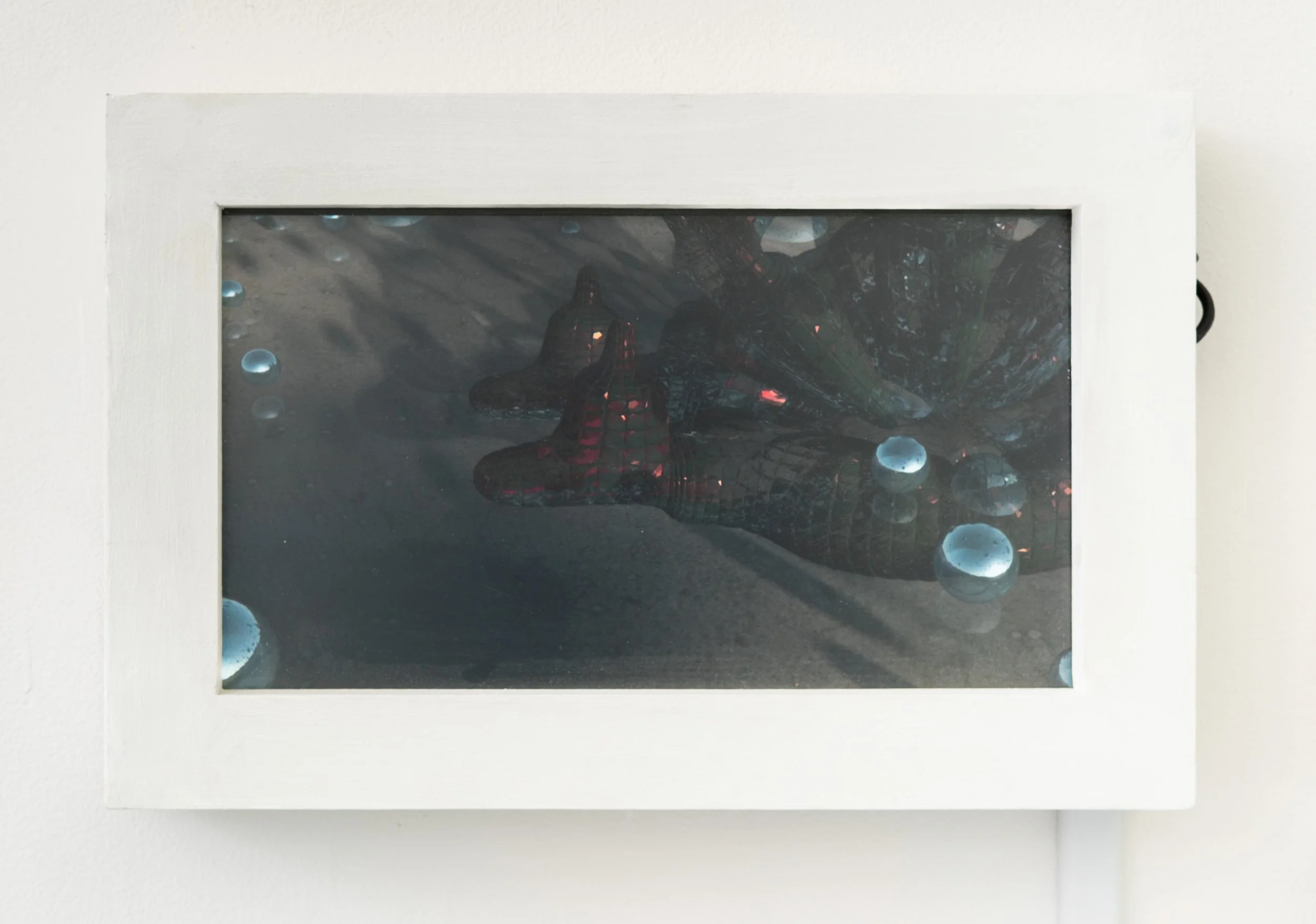 Miguel Ángel Salazar & Carlos Iván Hernández,   Pradera  , 2025 (detail). Video.