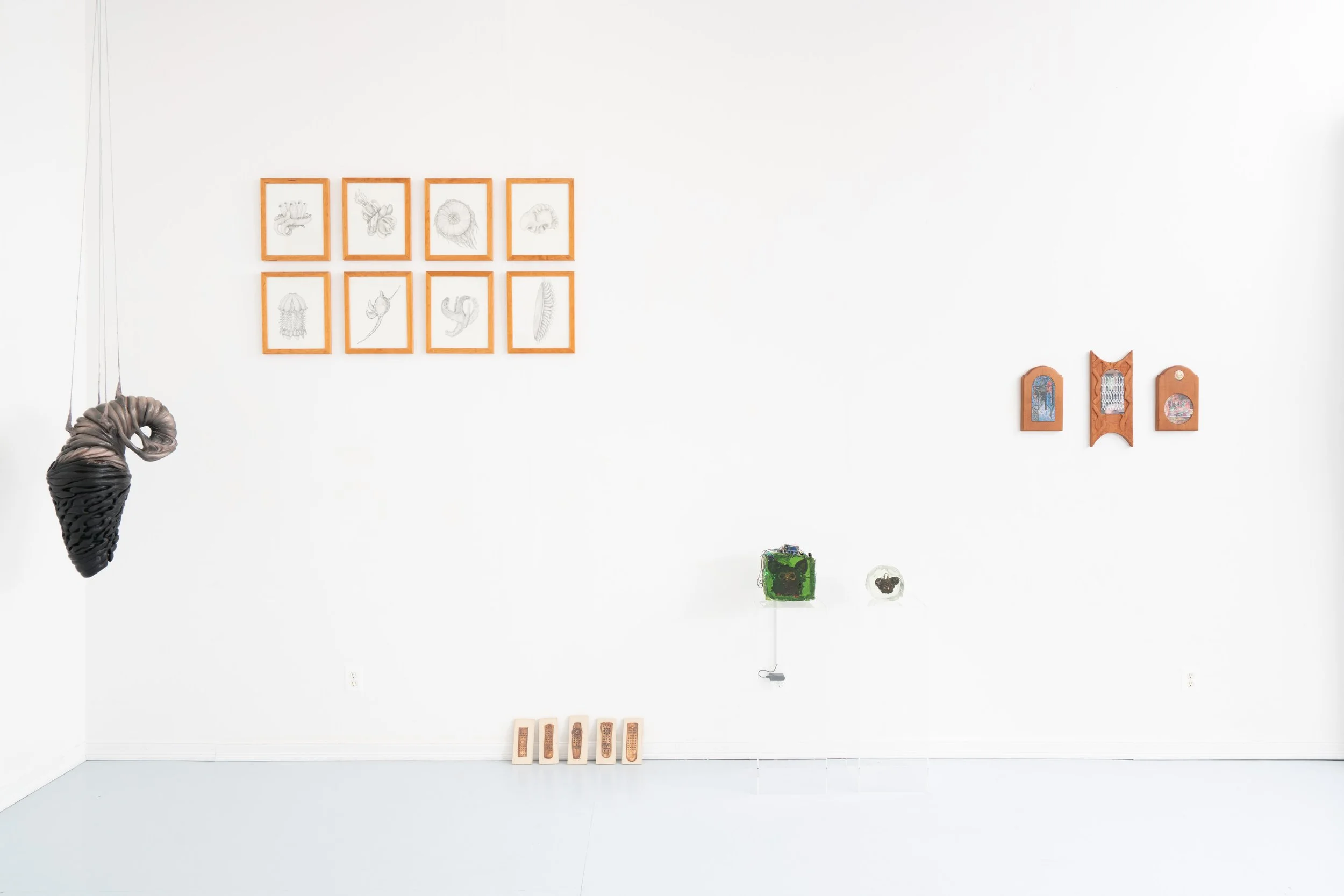 Installation view:  Armarium Mirabilium , presented by Plum Gallery. Ptolemy, Queens, NY, 2026.