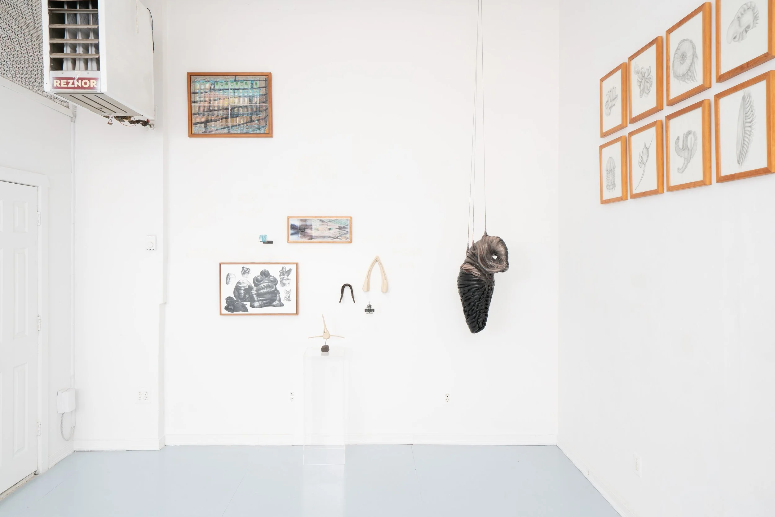 Installation view:  Armarium Mirabilium , presented by Plum Gallery. Ptolemy, Queens, NY, 2026.