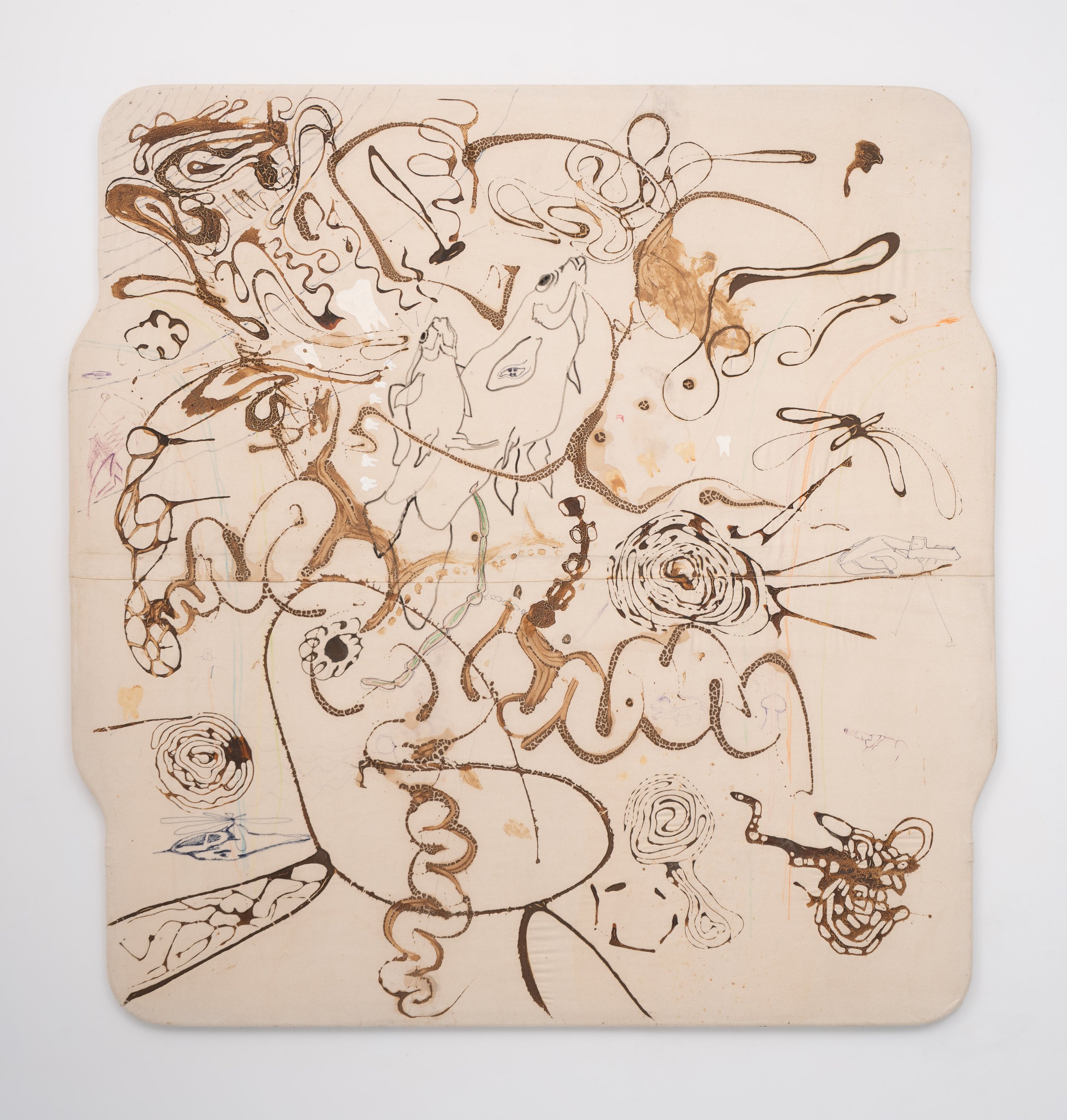 Bill Saylor,  Untitled , 1995. Sea kelp on fabric, 91 x 84 in