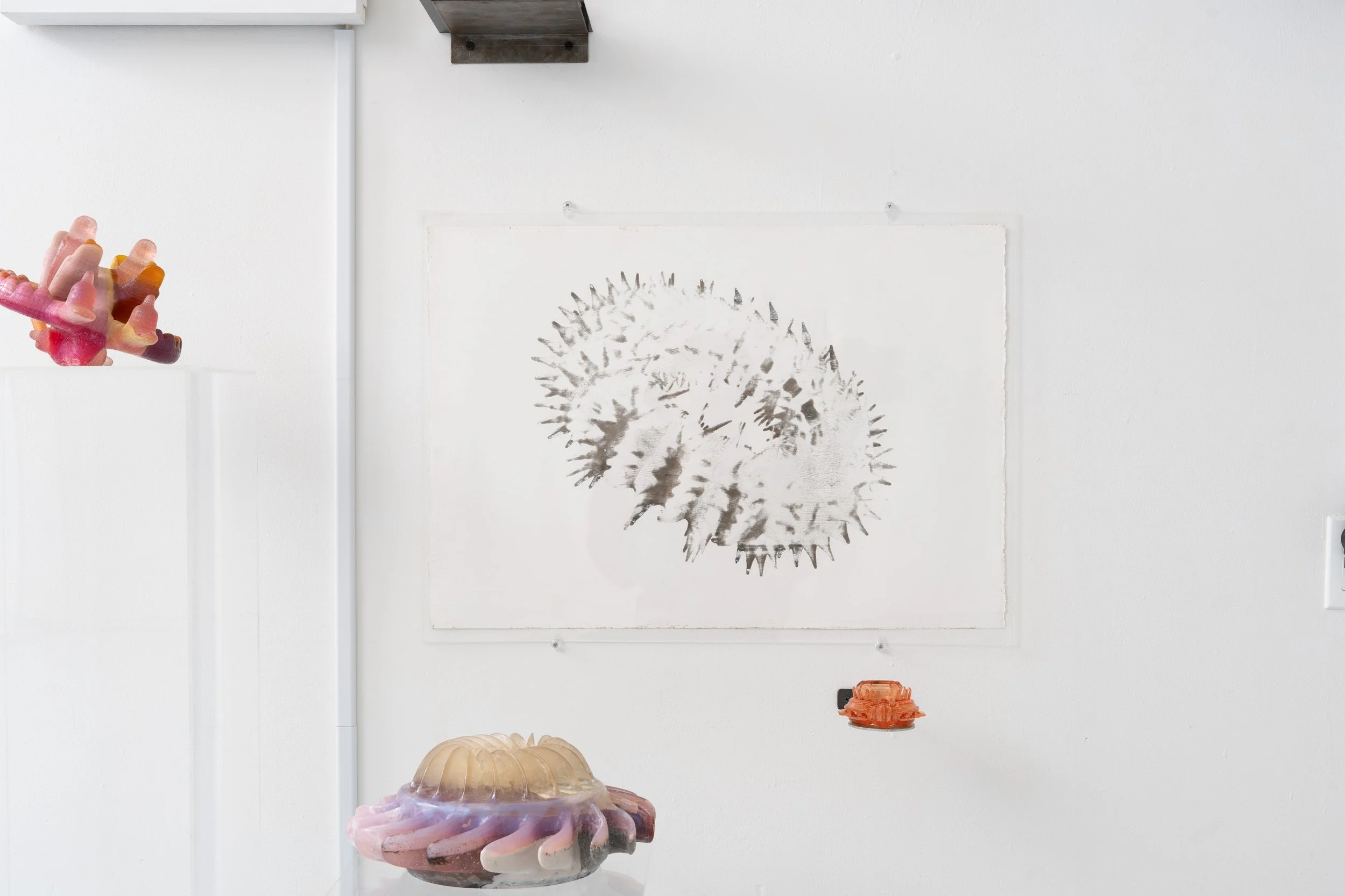 Installation view:  Armarium Mirabilium , presented by Plum Gallery. Ptolemy, Queens, NY, 2026.