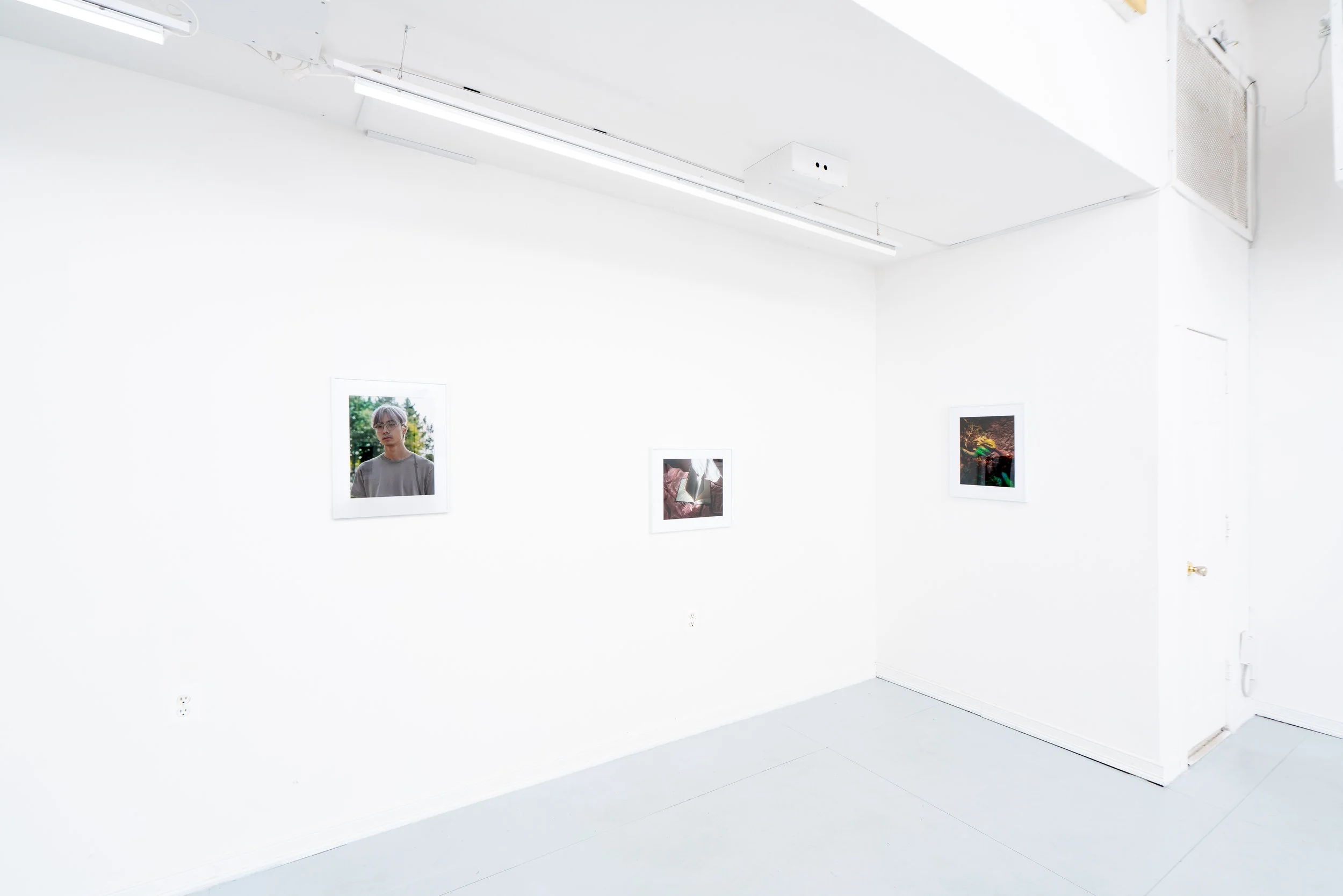 Ptolemy_AmikoLi_Install-3.jpg