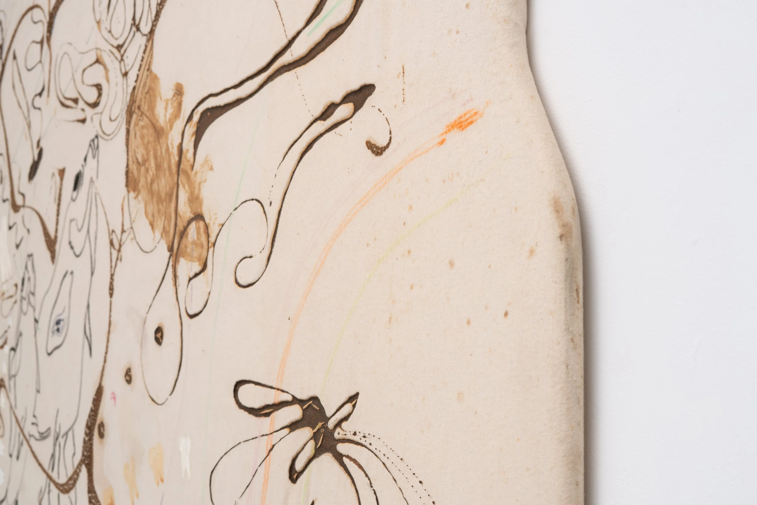 Bill Saylor,  Untitled , 1995 (detail). Sea kelp on fabric, 91 x 84 in
