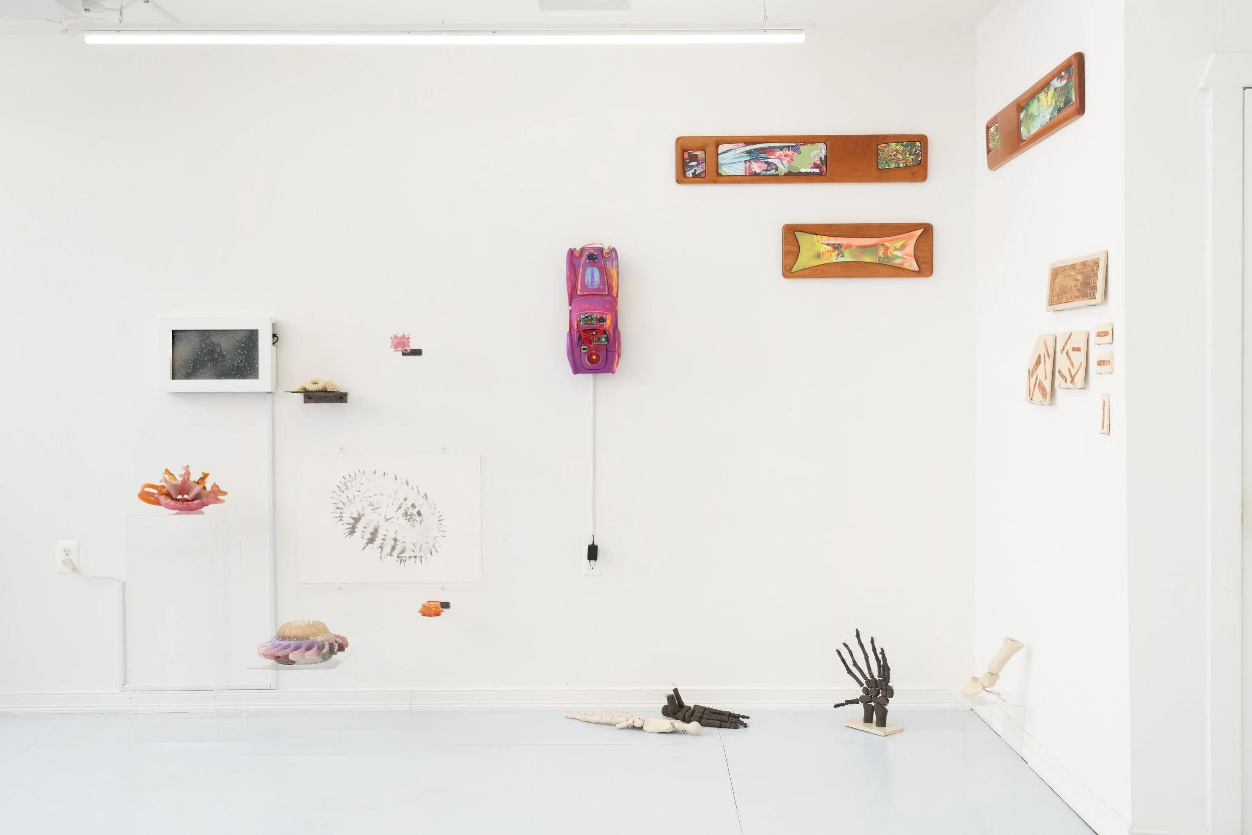 Installation view:  Armarium Mirabilium , presented by Plum Gallery. Ptolemy, Queens, NY, 2026.